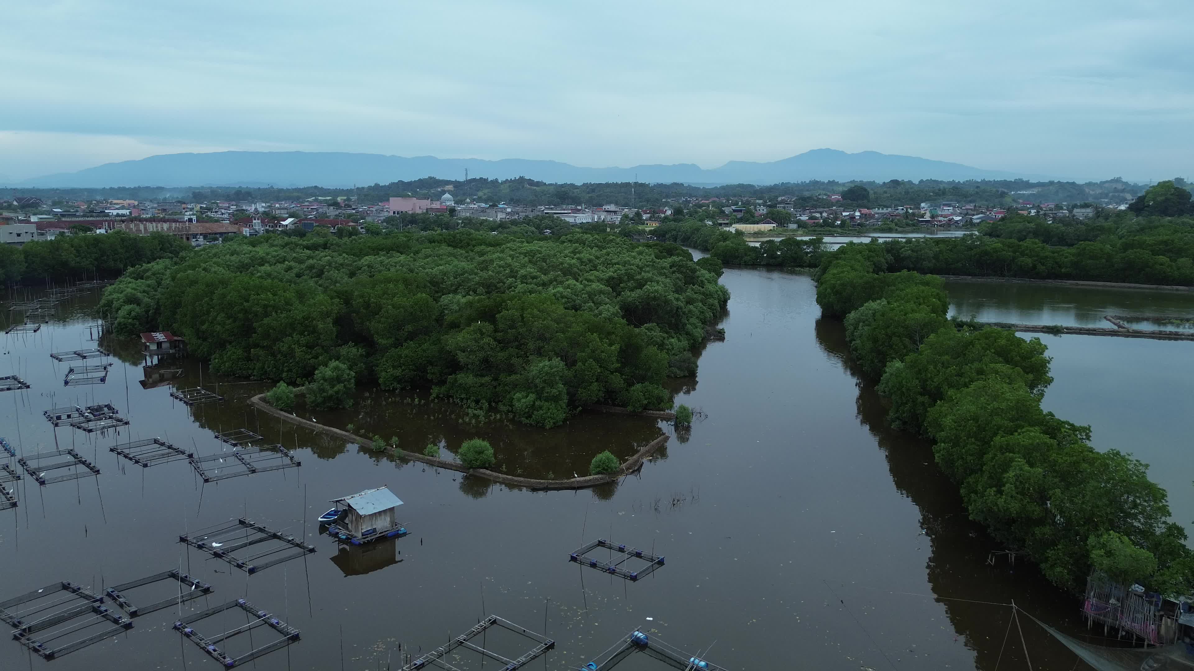 Farmers use Mangrove Fruit in Aceh