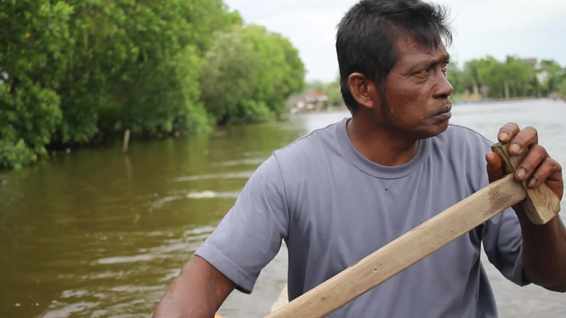 Farmers use Mangrove Fruit in Aceh