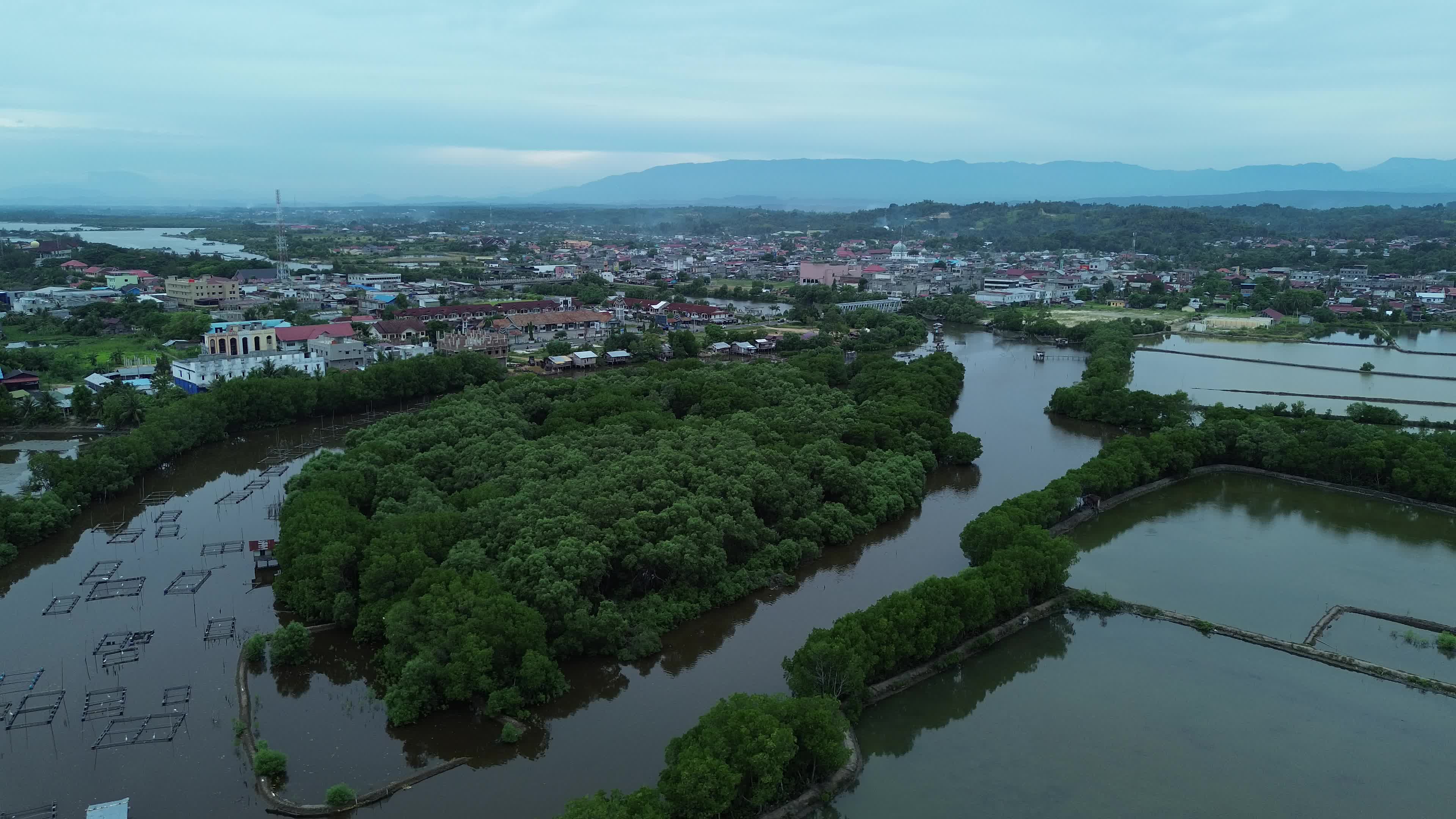 Farmers use Mangrove Fruit in Aceh