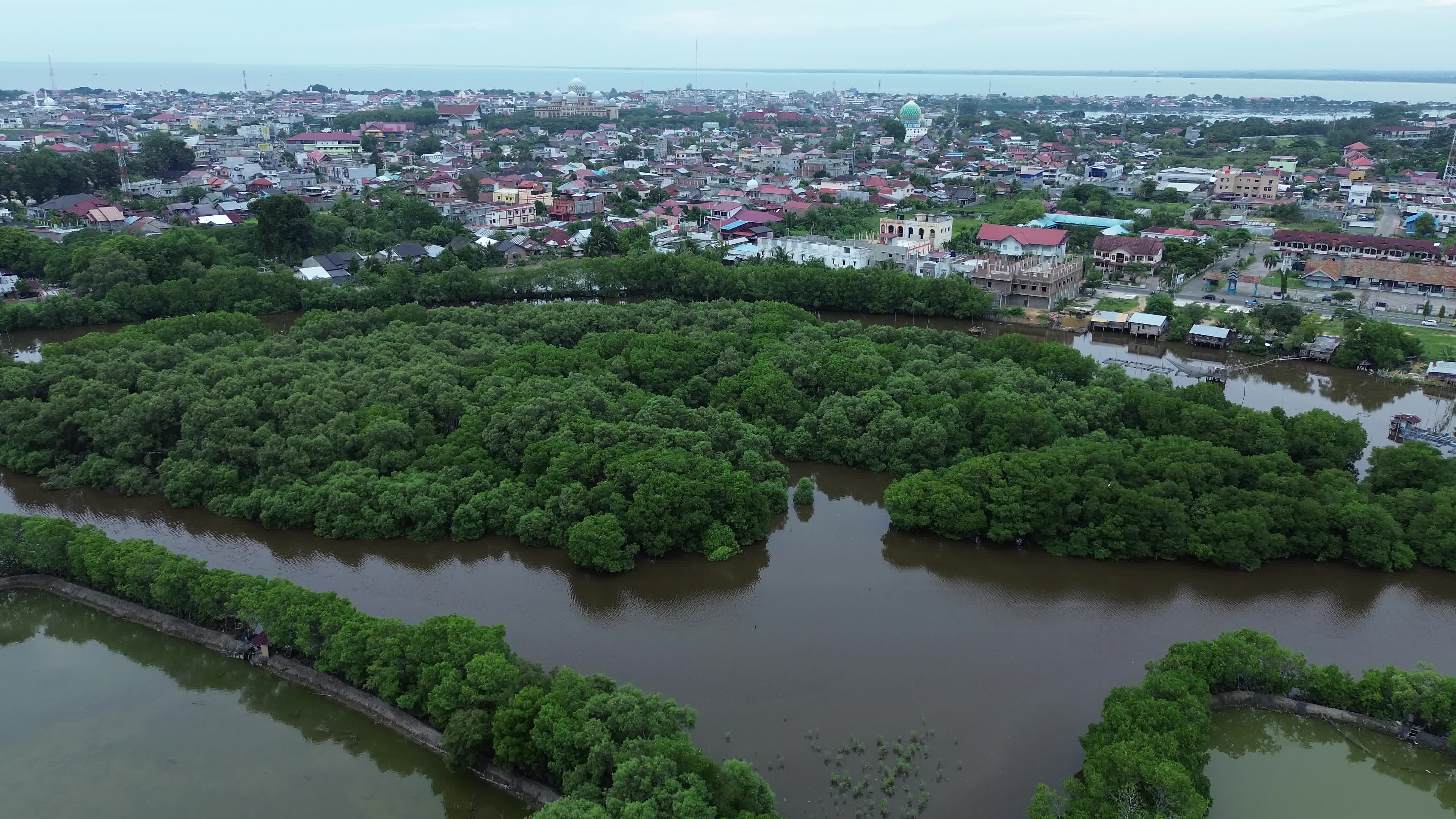 Farmers use Mangrove Fruit in Aceh