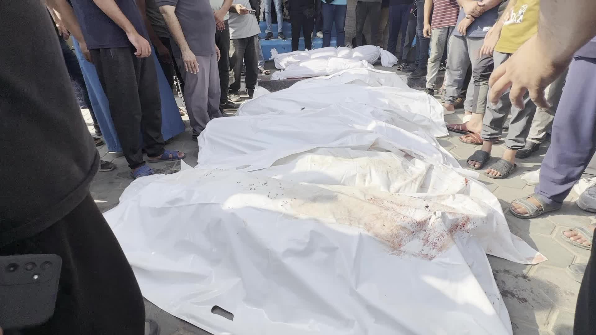 Hamas Israel Conflict
