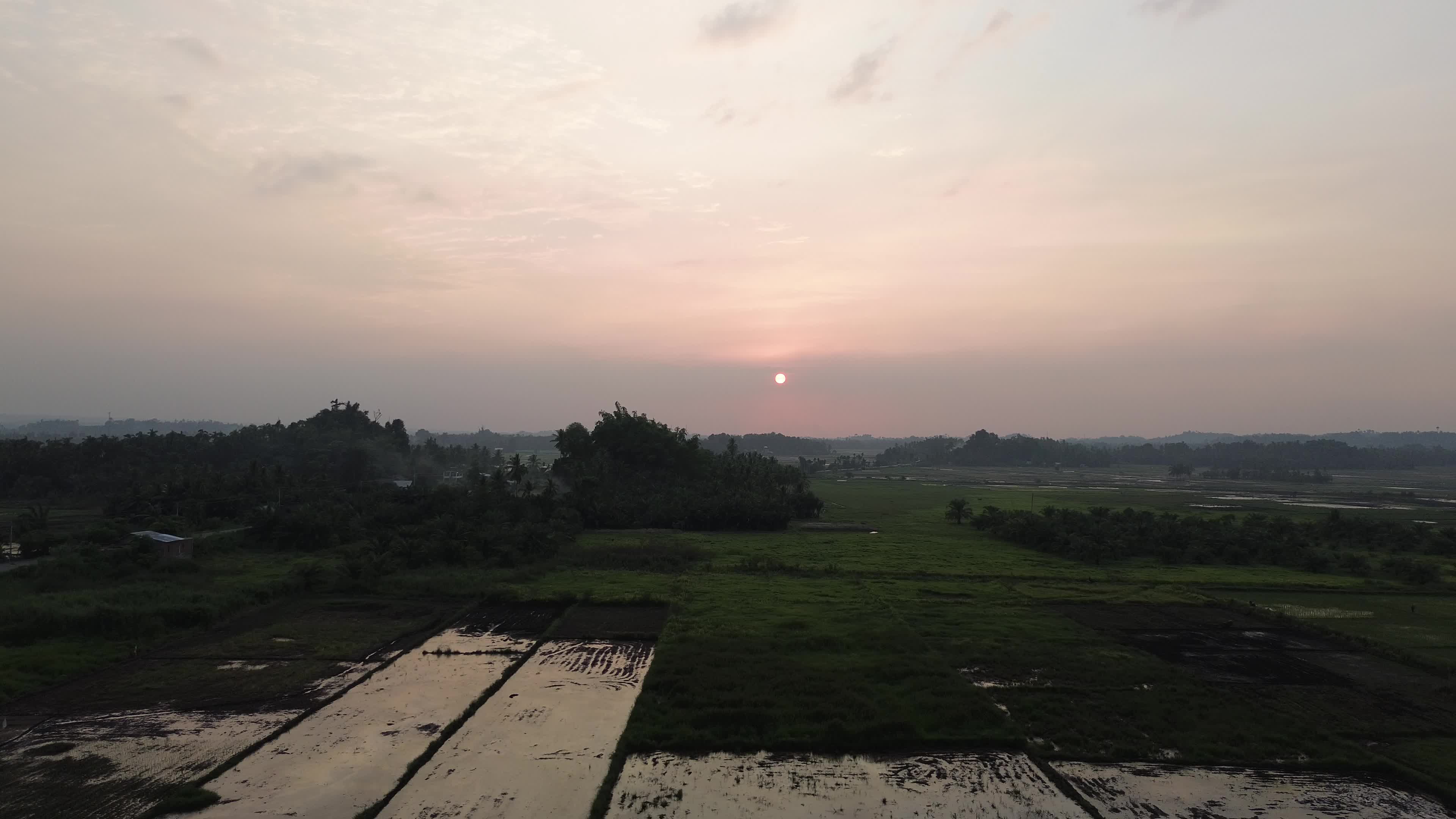 Farmers Planting Rice in Aceh