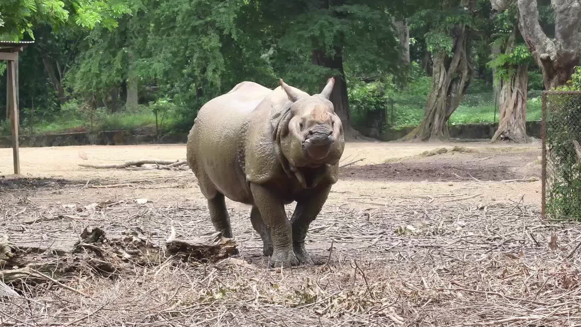 Assam State Zoo Botanical Garden in India
