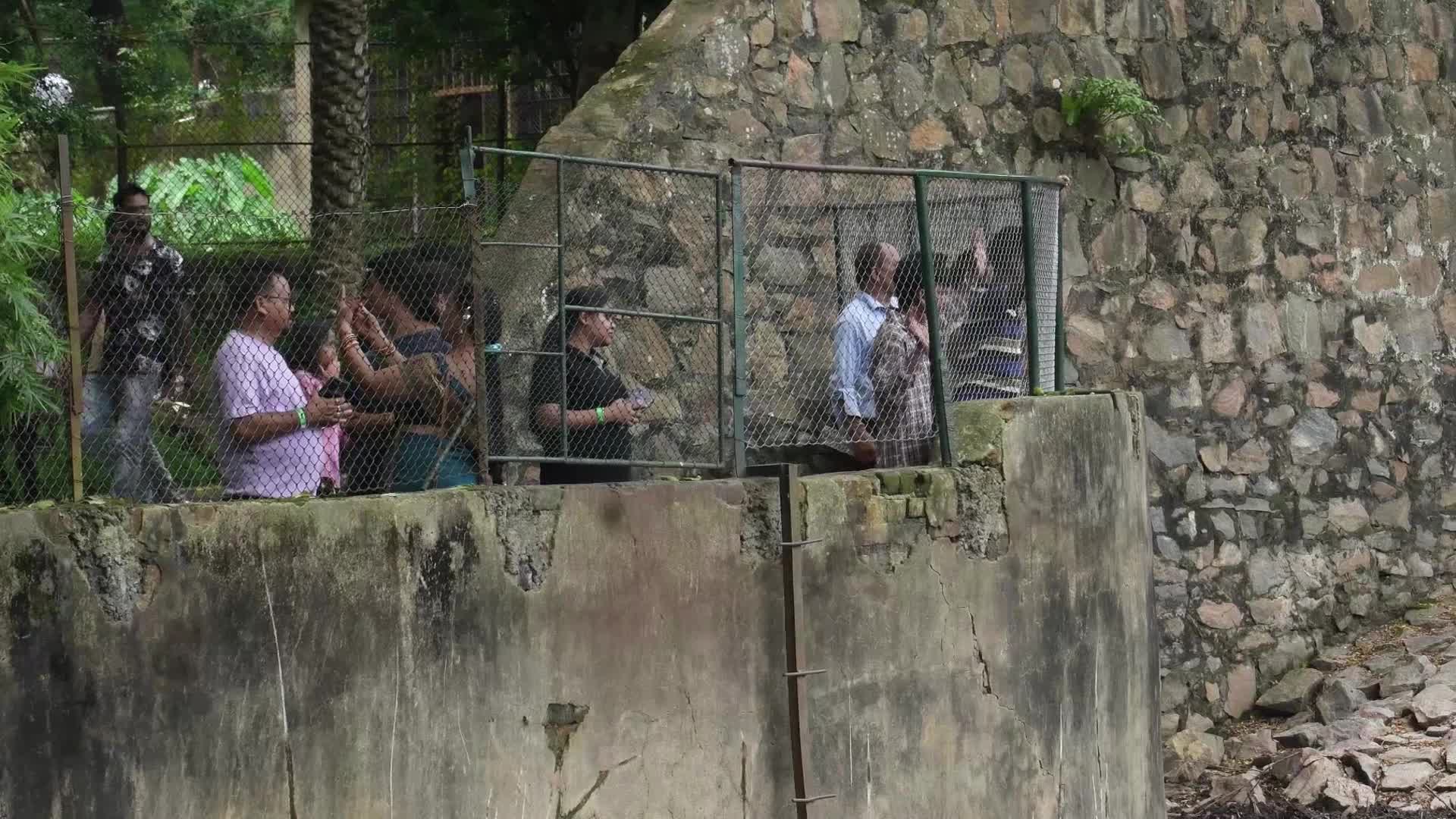 Assam State Zoo Botanical Garden in India