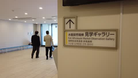 Daily Life In Tokyo