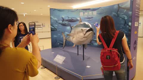 Daily Life In Tokyo