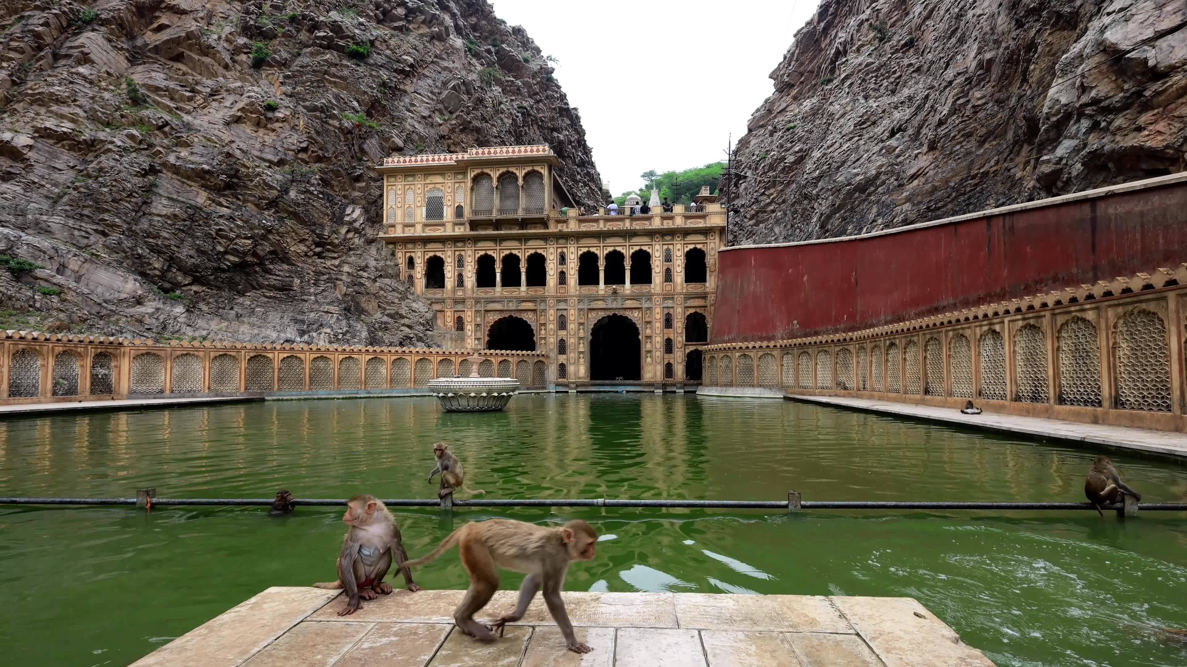 Shrine Galta Peeth Tirtha In Jaipur 