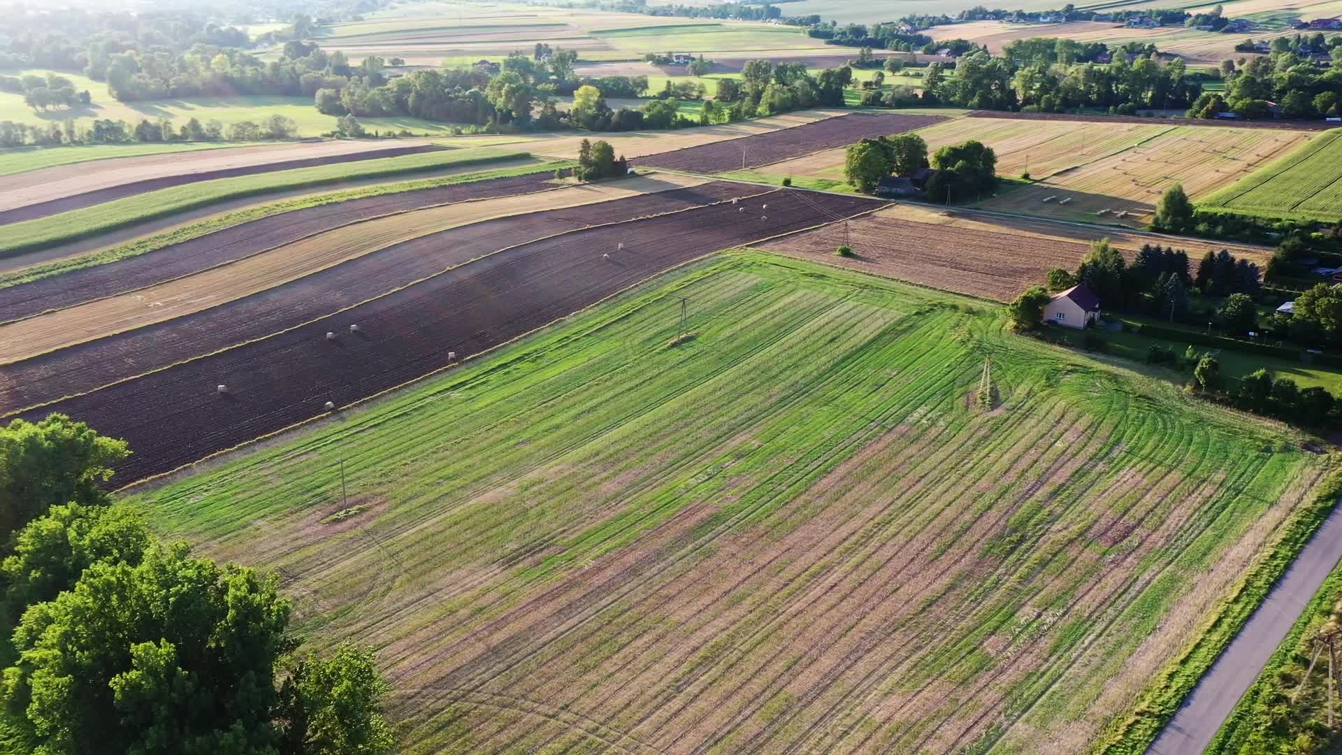 Harvest season starts in Poland