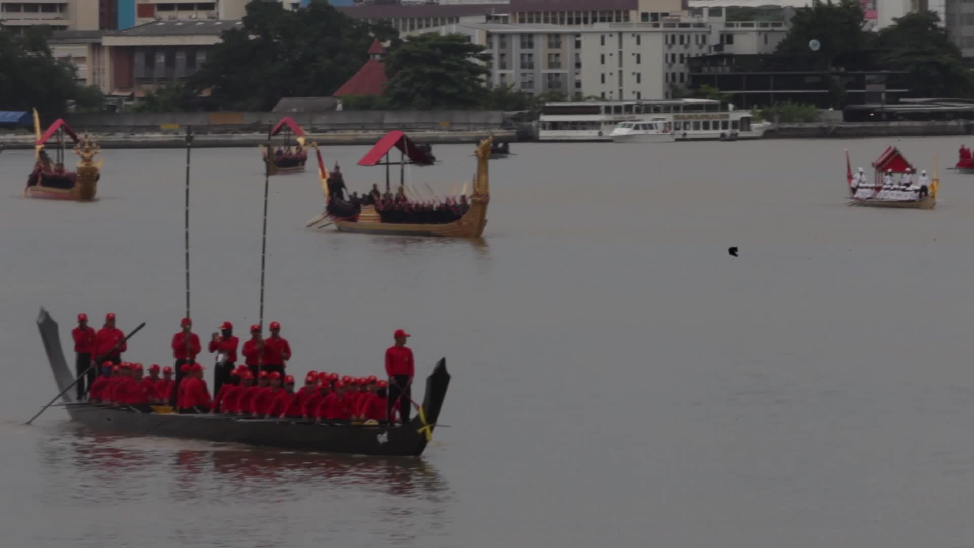 Thai Oarsmen Row Royal Barges During Practice Procession on Chao Phraya River