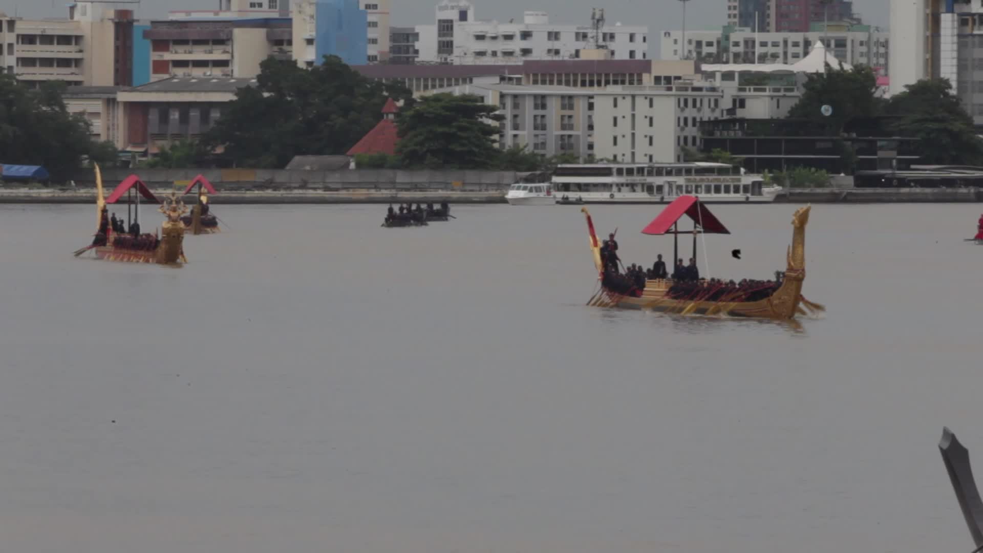 Thai Oarsmen Row Royal Barges During Practice Procession on Chao Phraya River