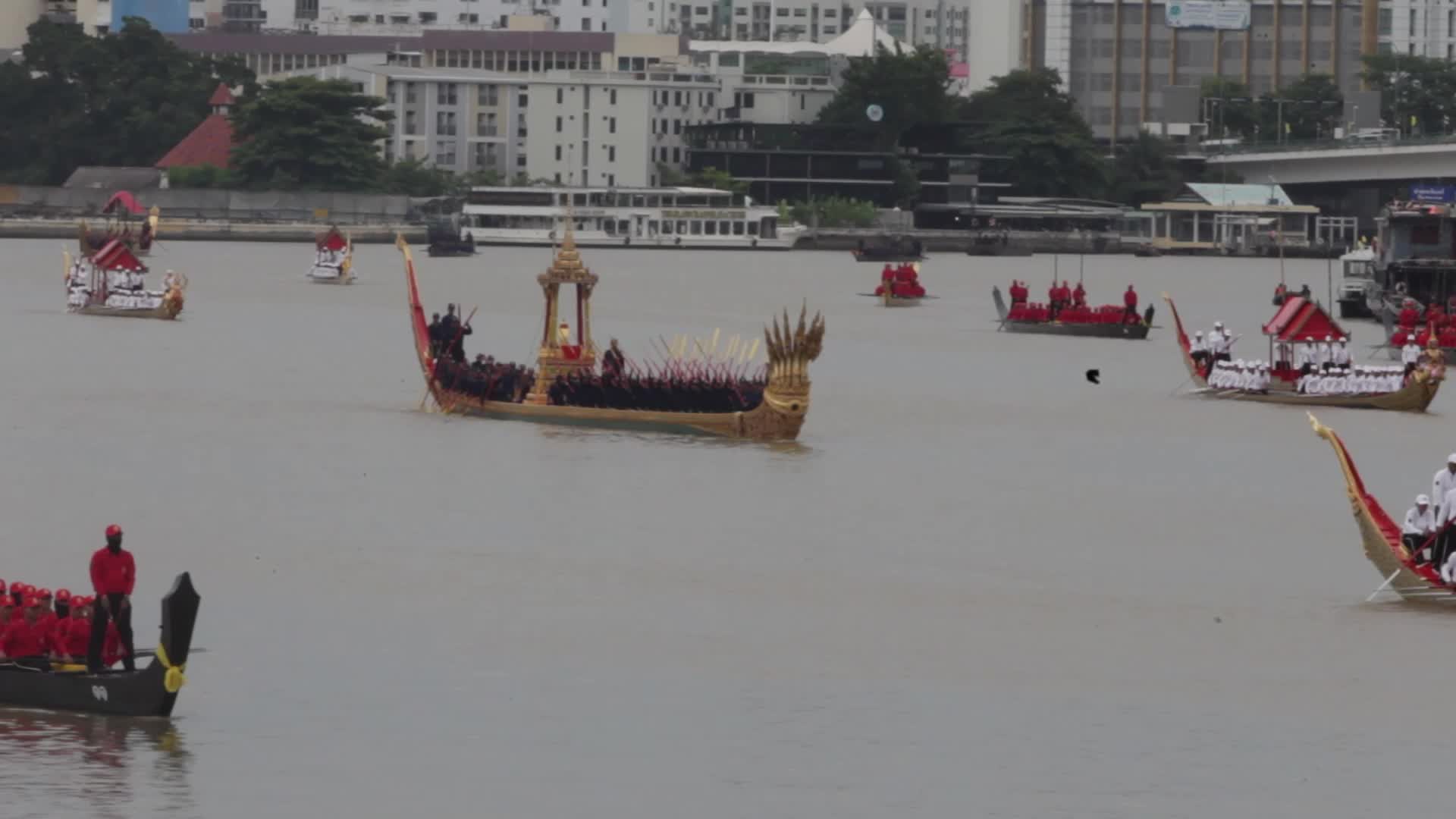 Thai Oarsmen Row Royal Barges During Practice Procession on Chao Phraya River