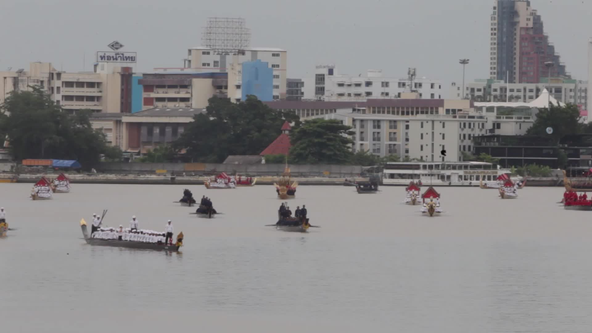 Thai Oarsmen Row Royal Barges During Practice Procession on Chao Phraya River