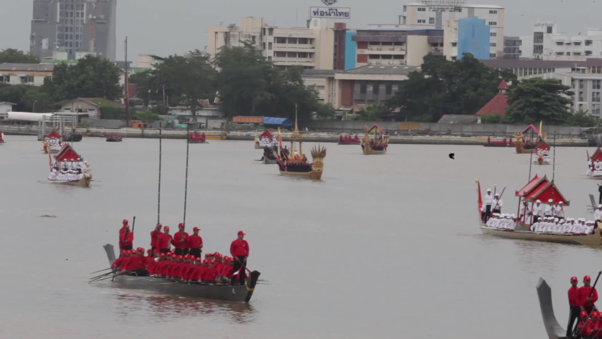 Thai Oarsmen Row Royal Barges During Practice Procession on Chao Phraya River