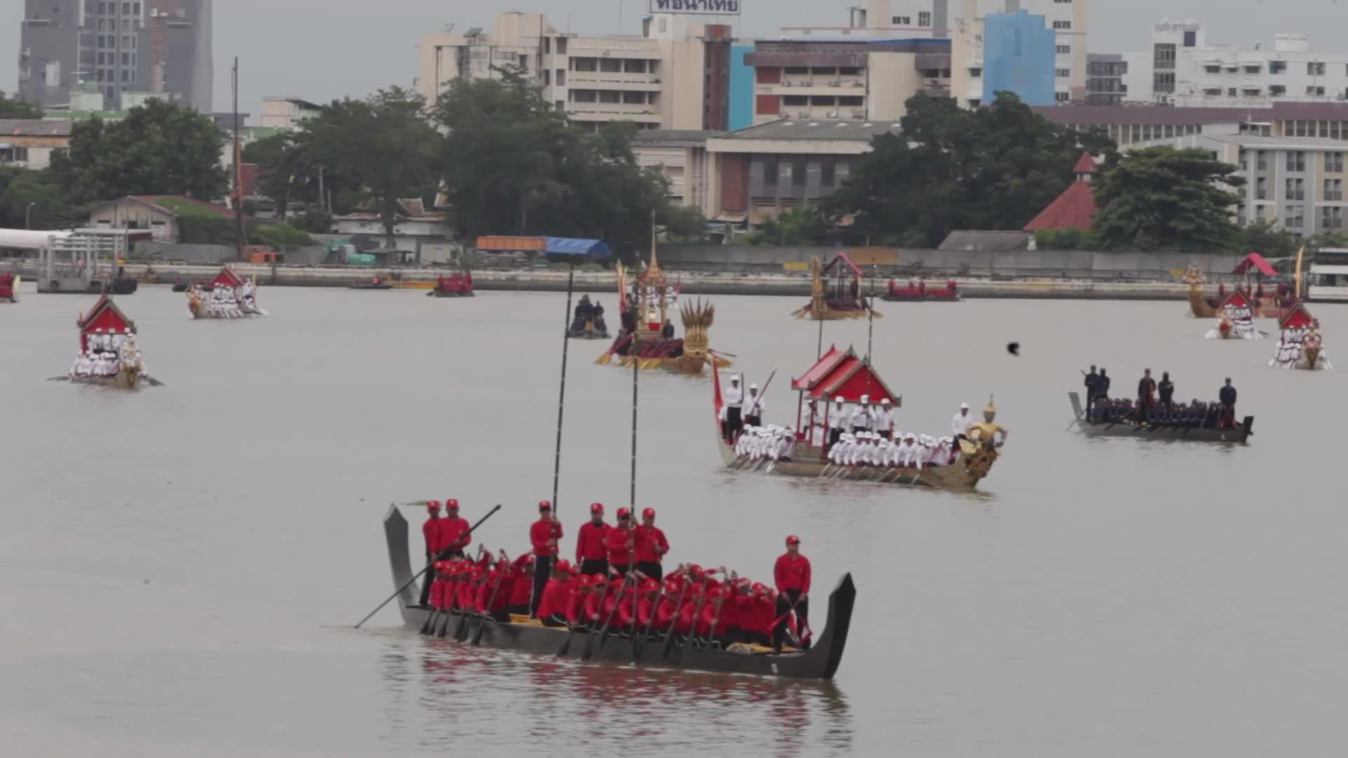 Thai Oarsmen Row Royal Barges During Practice Procession on Chao Phraya River