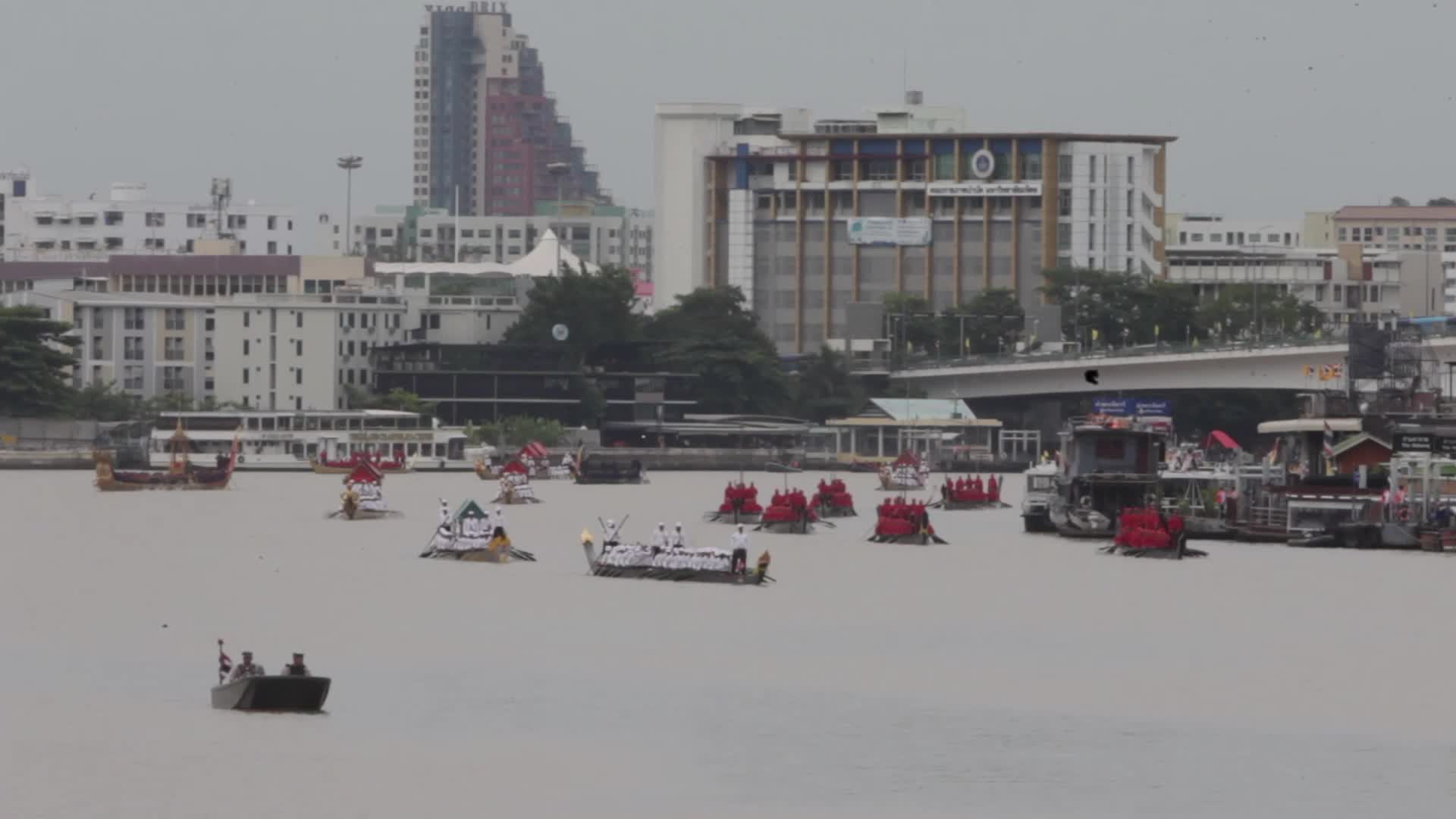 Thai Oarsmen Row Royal Barges During Practice Procession on Chao Phraya River