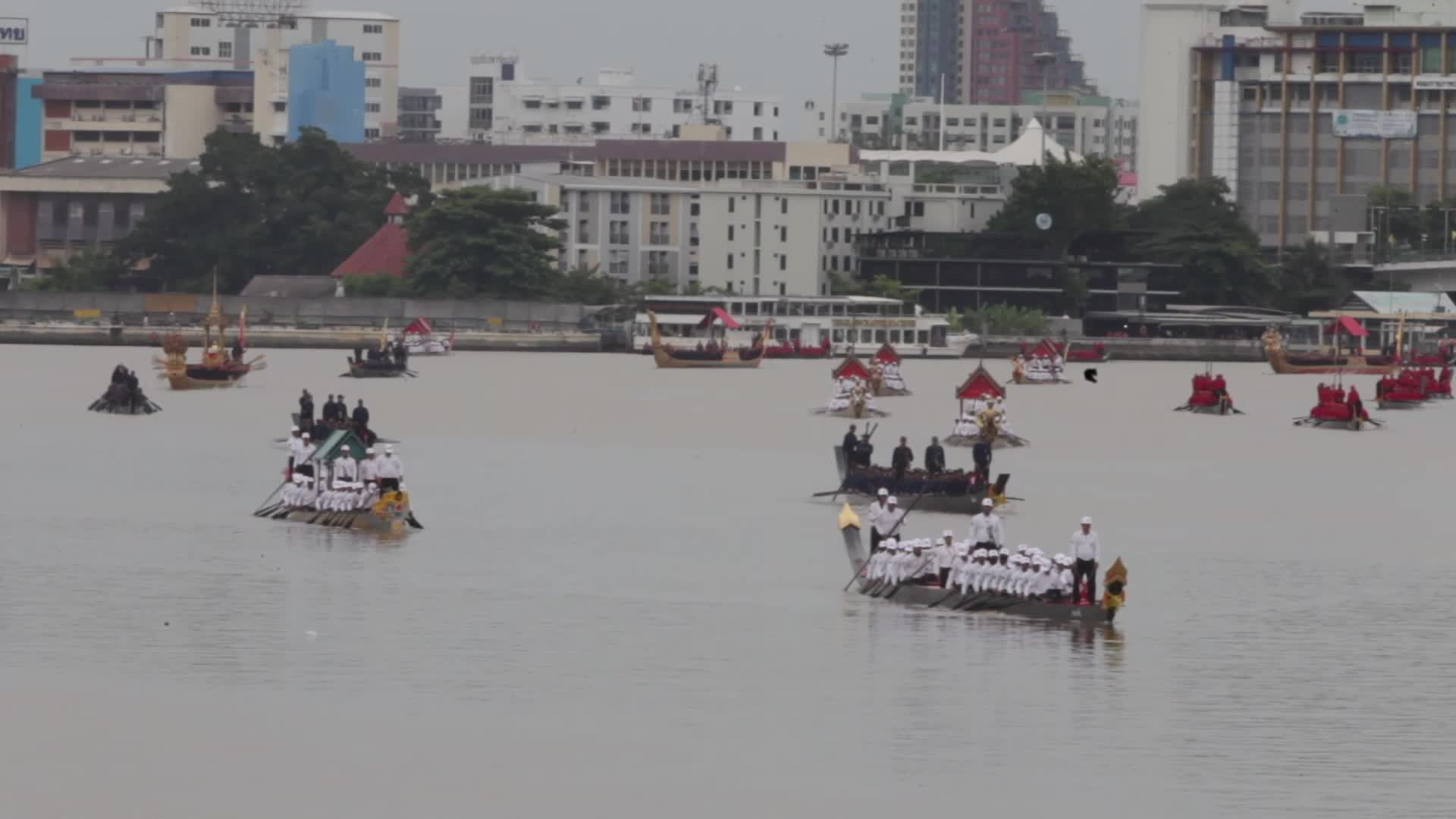 Thai Oarsmen Row Royal Barges During Practice Procession on Chao Phraya River