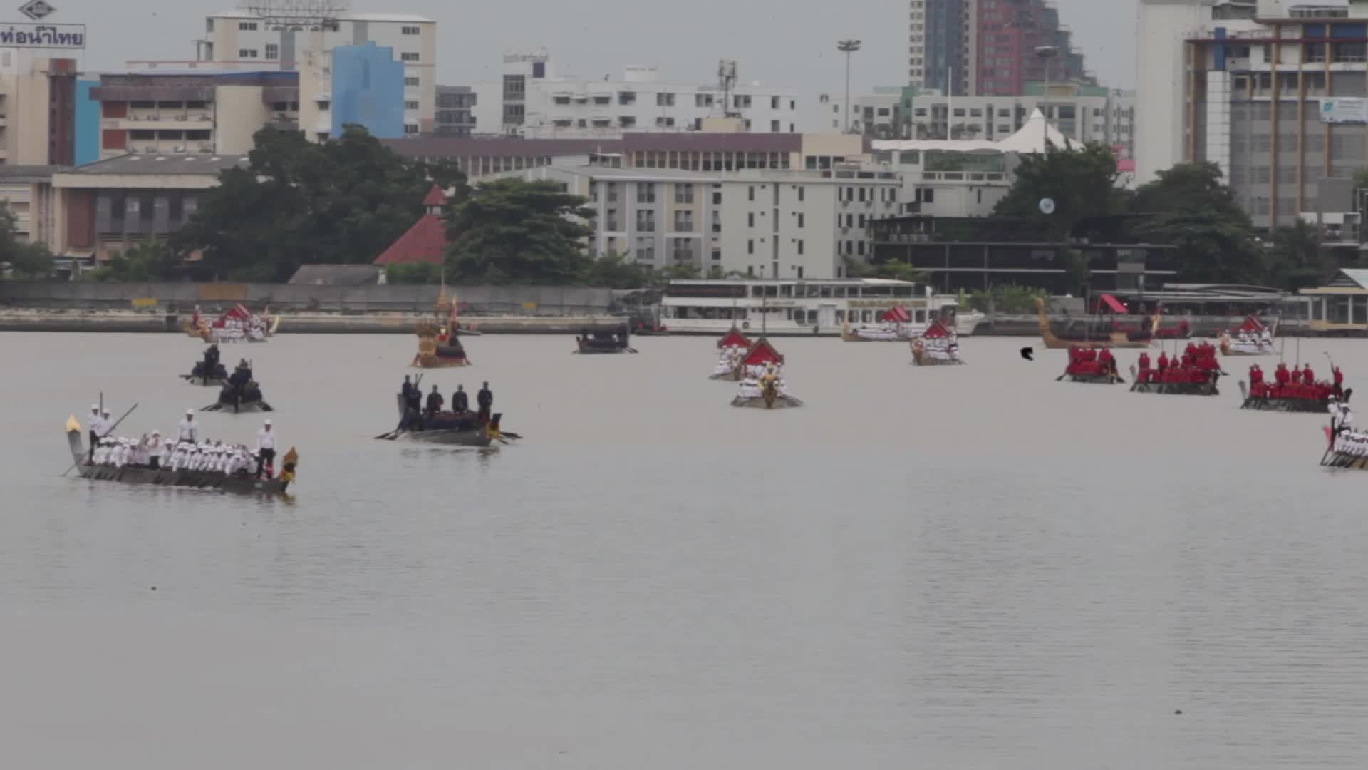 Thai Oarsmen Row Royal Barges During Practice Procession on Chao Phraya River
