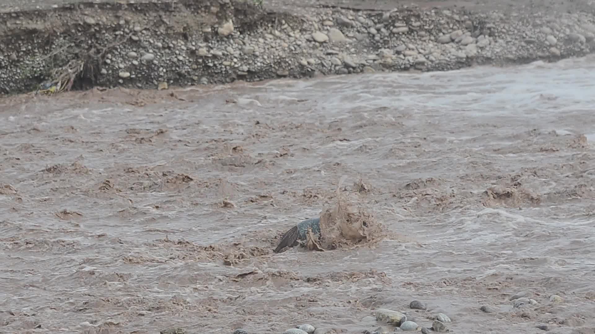Flash Floods Devastate in Khyber Agency Bara 