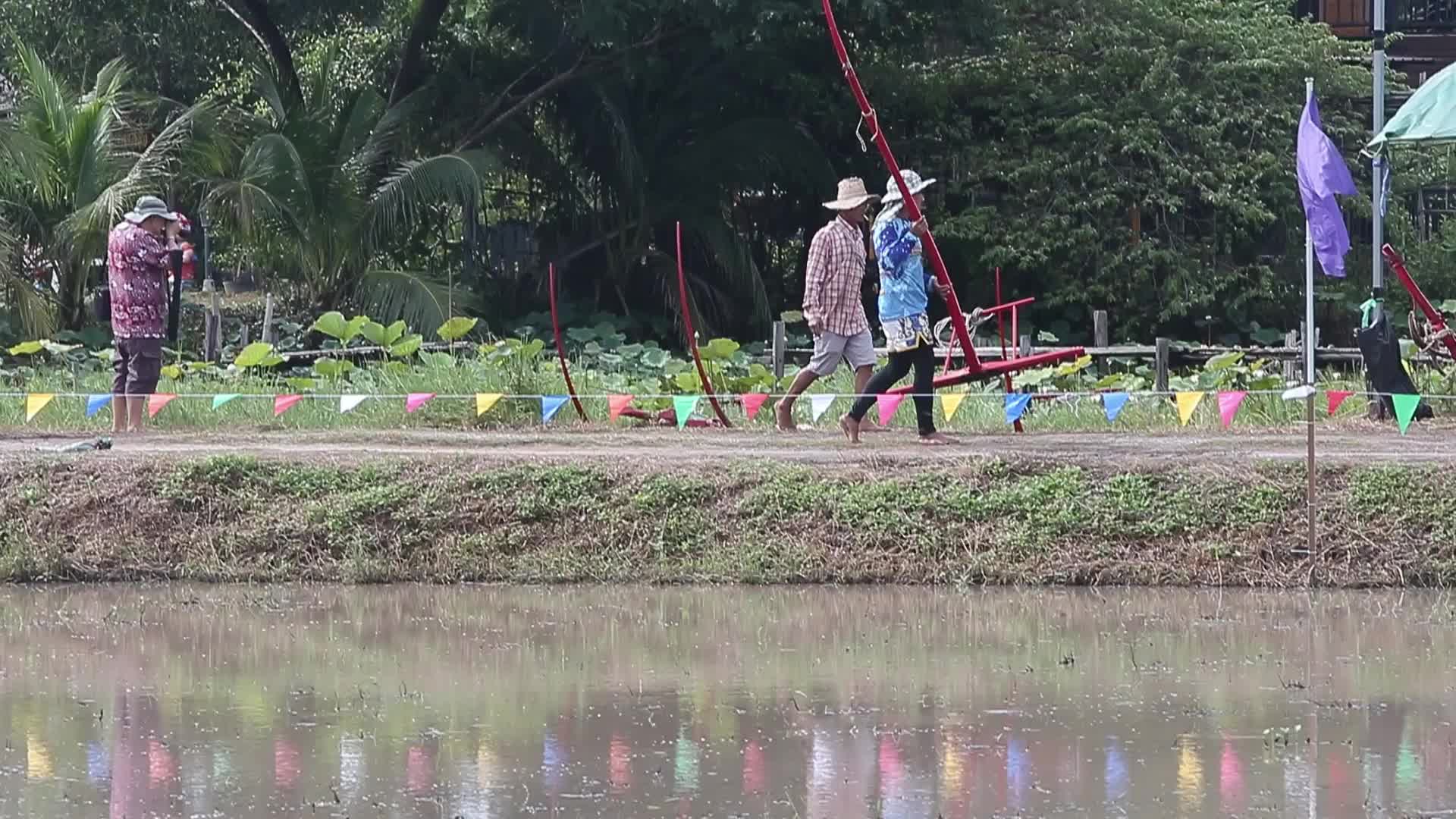 Buffalo race festival in Thailand