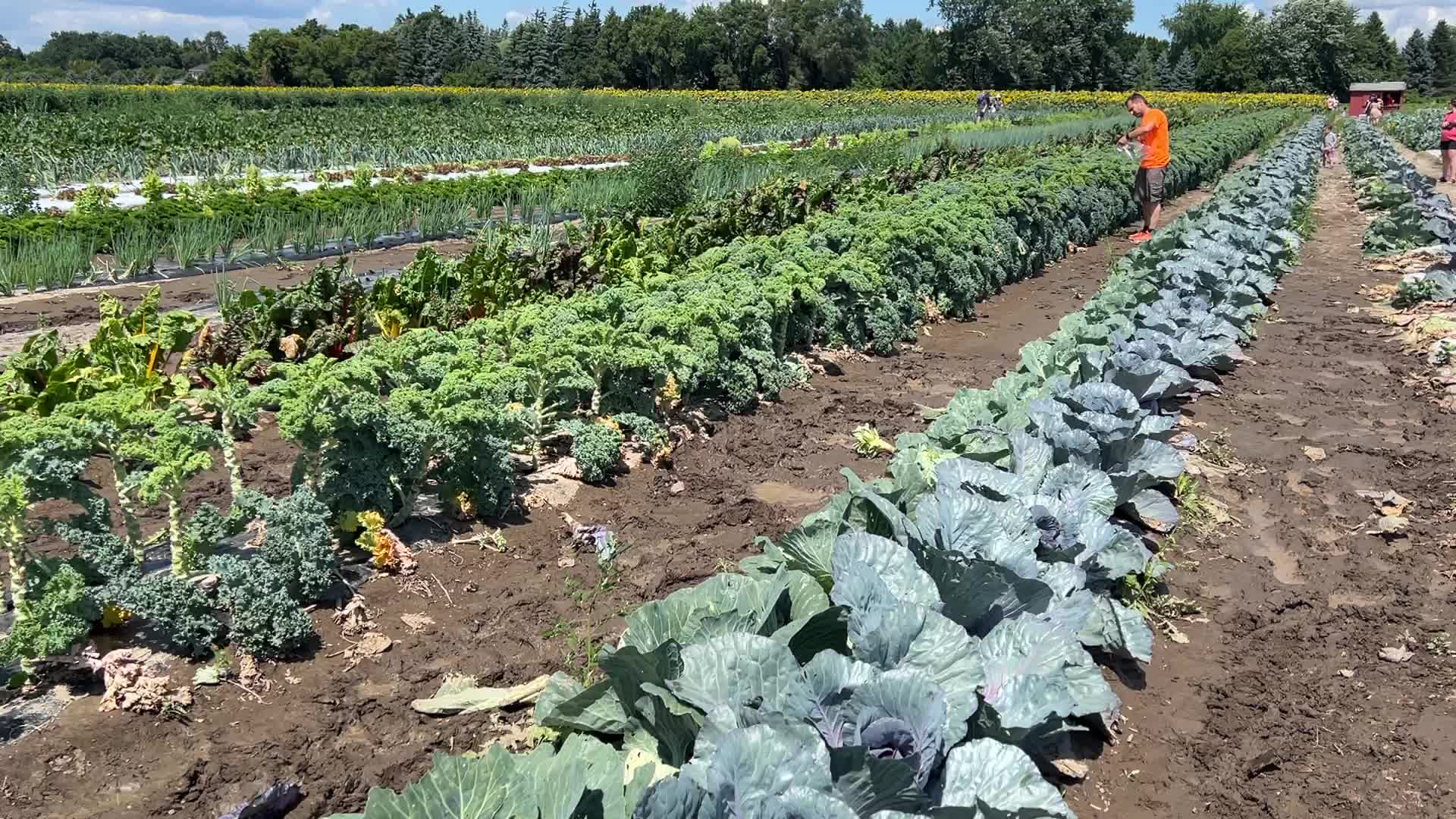 Agriculture in Markham, Canada