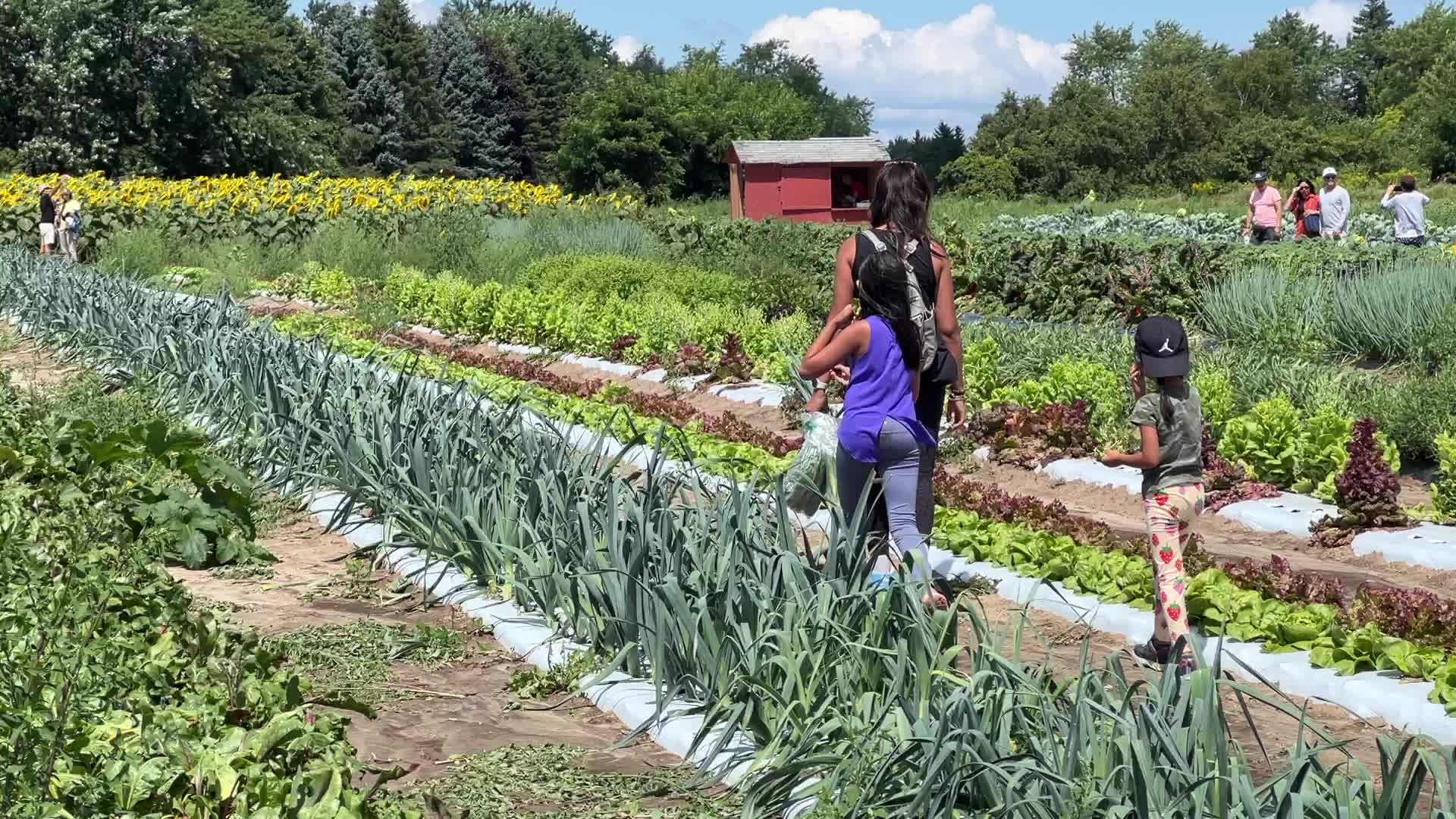 Agriculture in Markham, Canada