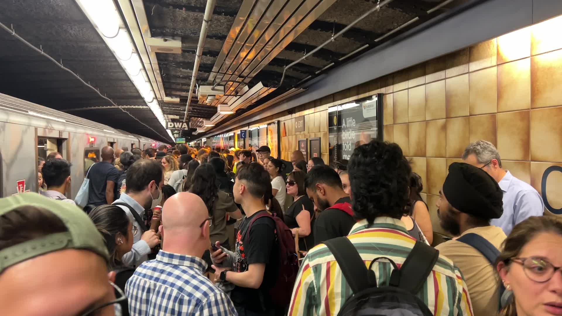 Trespasser on the tracks causes a TTC subway shutdown of line 1