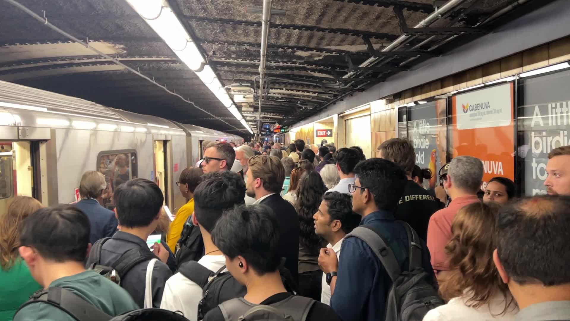 Trespasser on the tracks causes a TTC subway shutdown of line 1