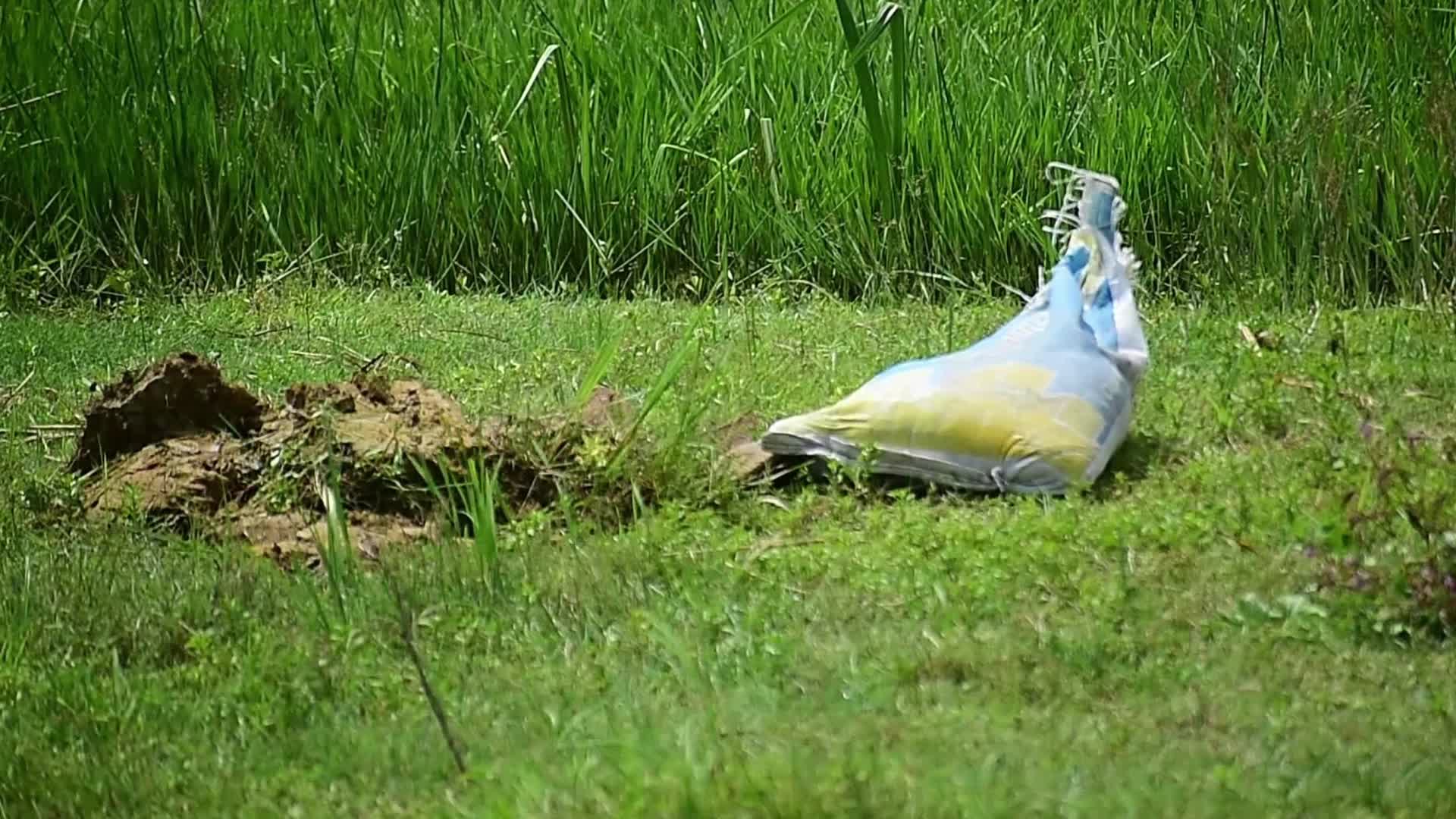  Bombs planted on Independence Day in India 's Assam 
