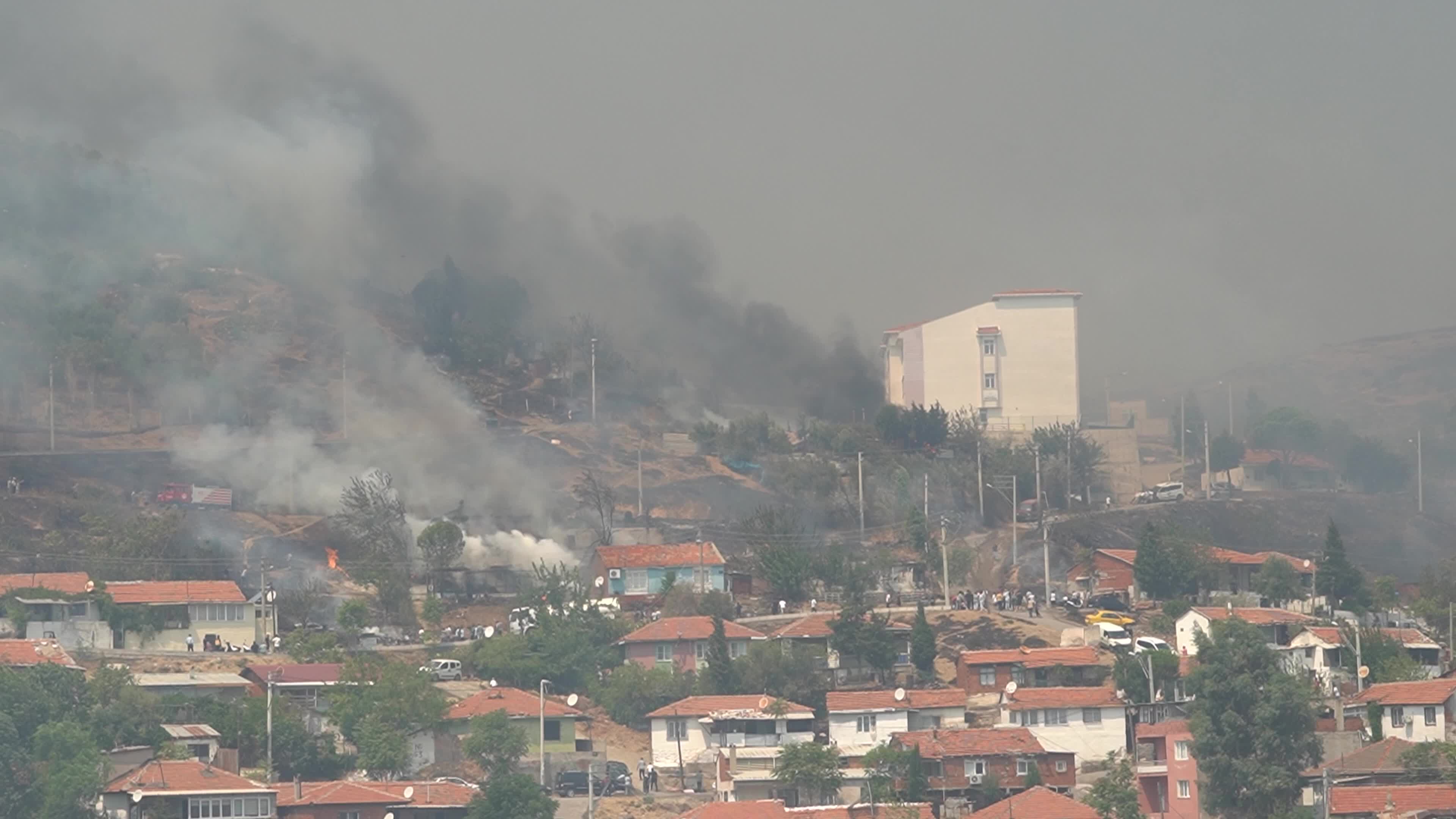 Wildfire has reached into the residential area, Bayrakli, Izmir, Turkey
