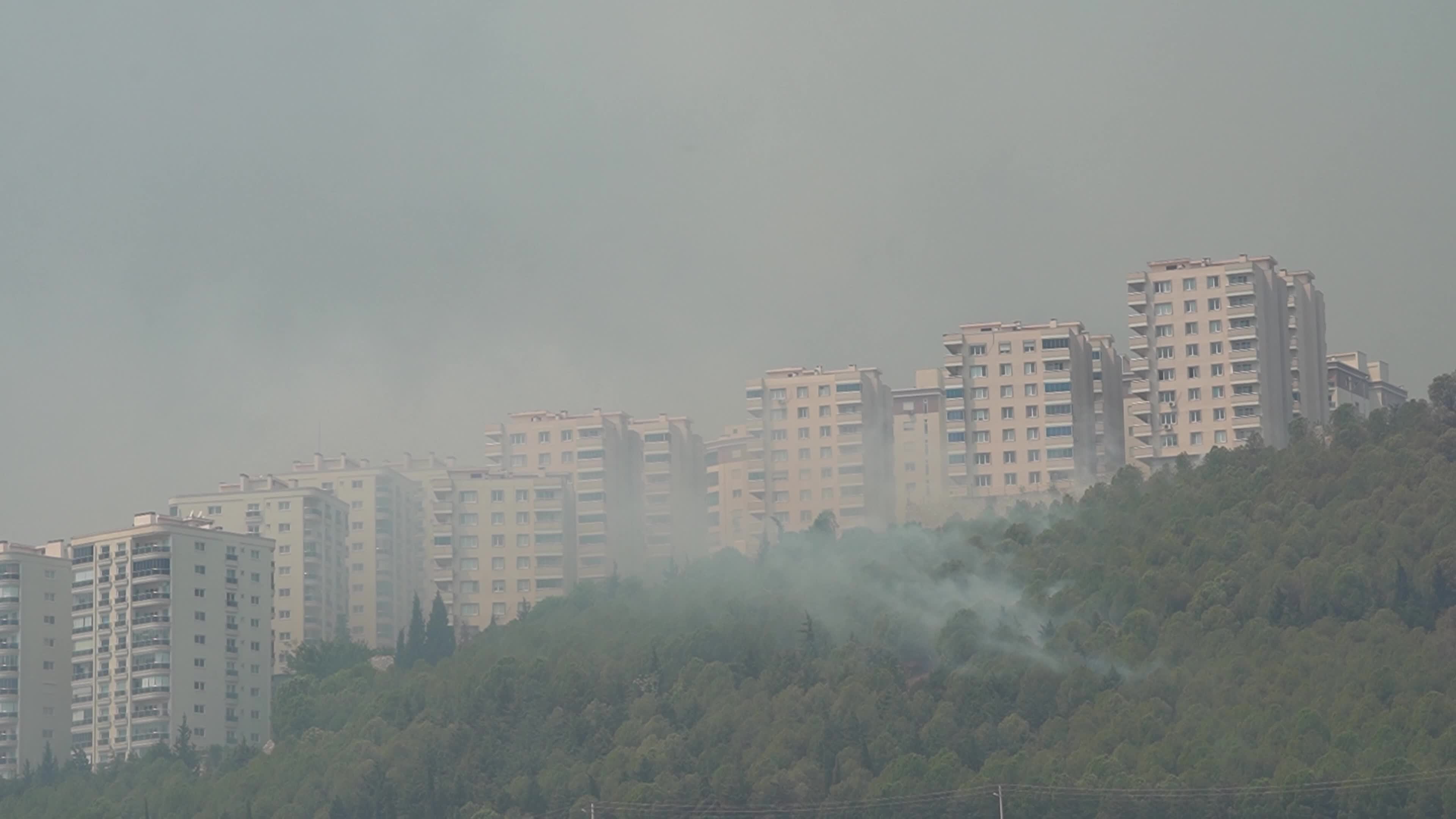 Wildfire has reached into the residential area, Bayrakli, Izmir, Turkey
