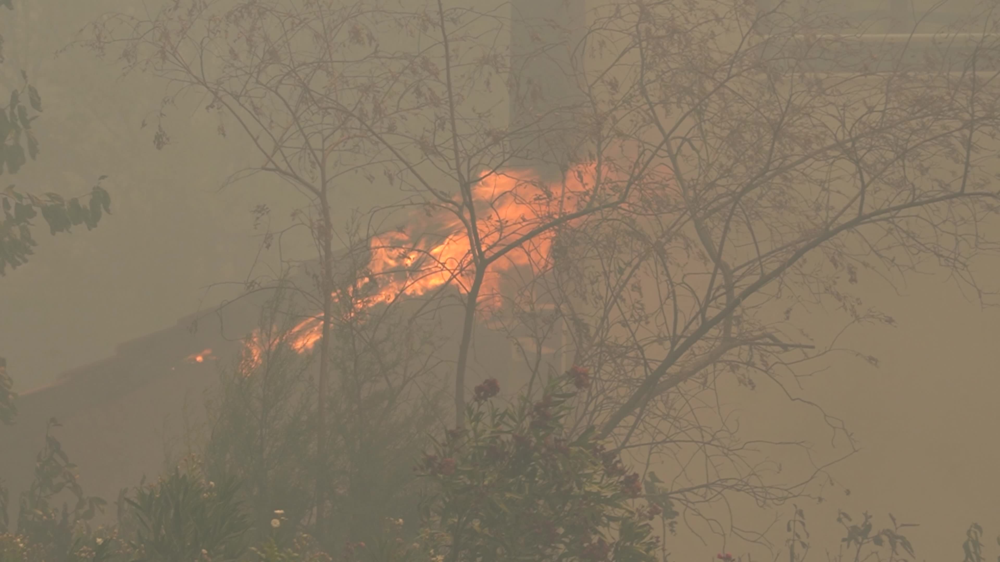Wildfire has reached into the residential area, Bayrakli, Izmir, Turkey