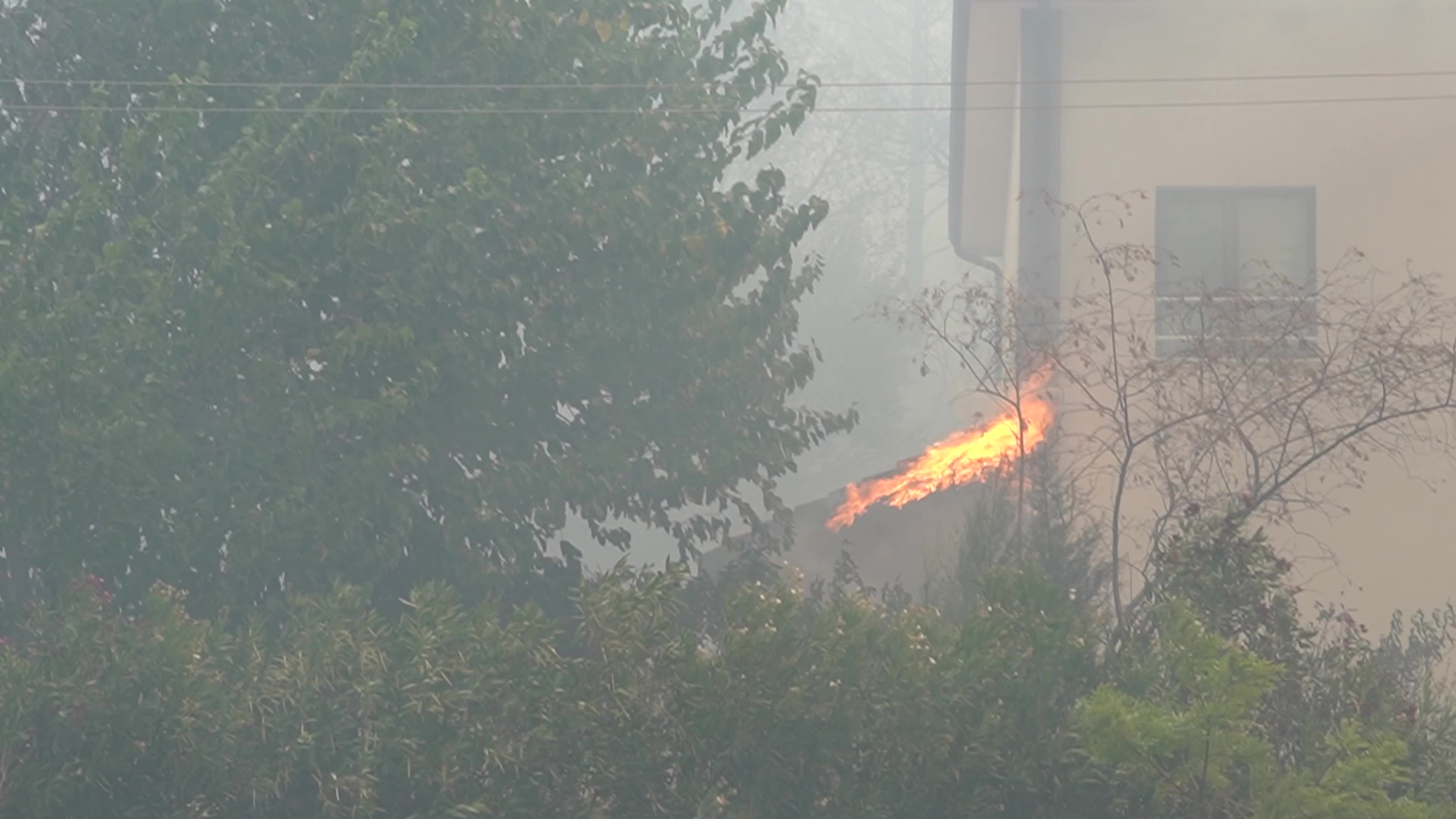 Wildfire has reached into the residential area, Bayrakli, Izmir, Turkey
