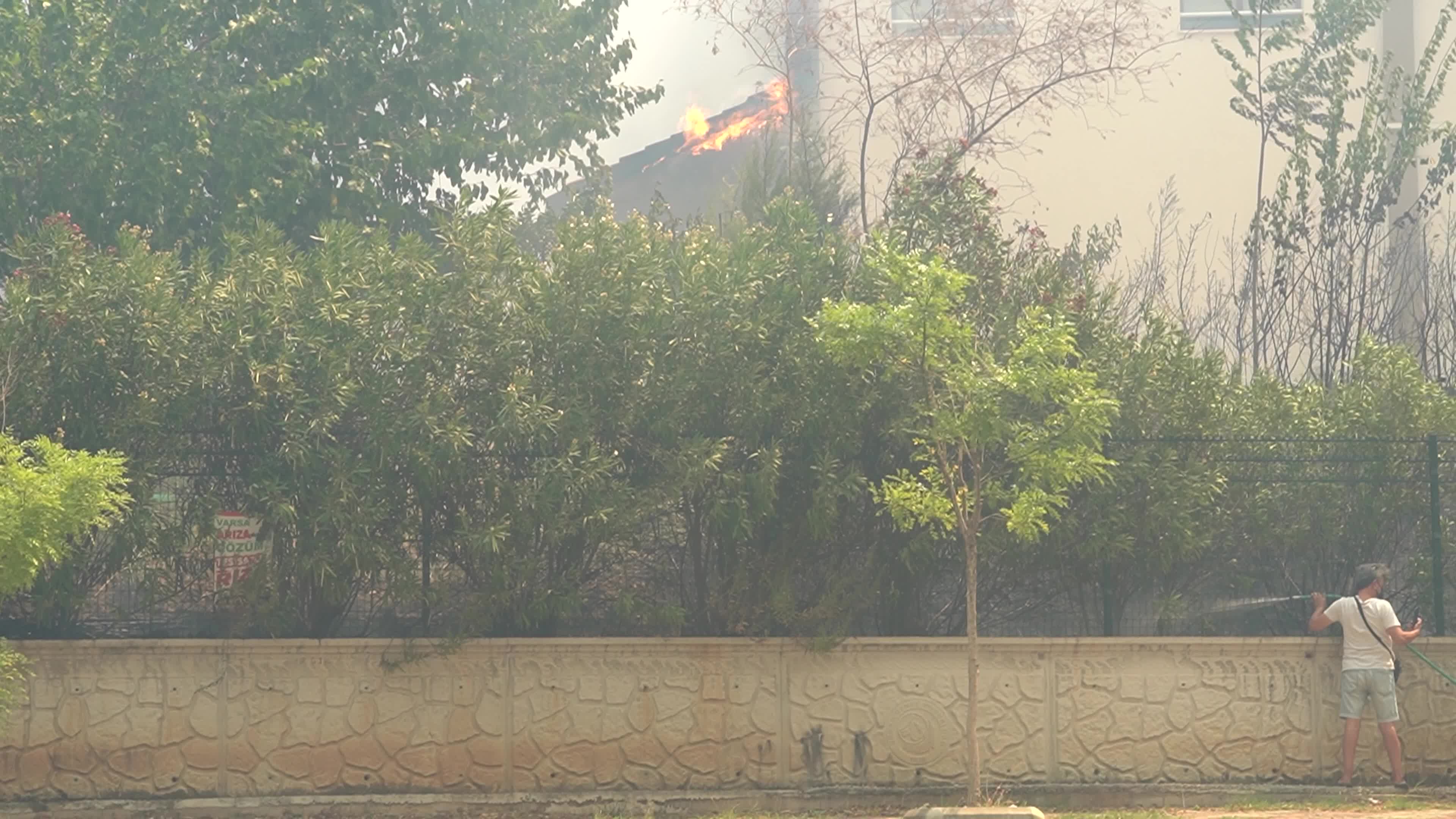 Wildfire has reached into the residential area, Bayrakli, Izmir, Turkey