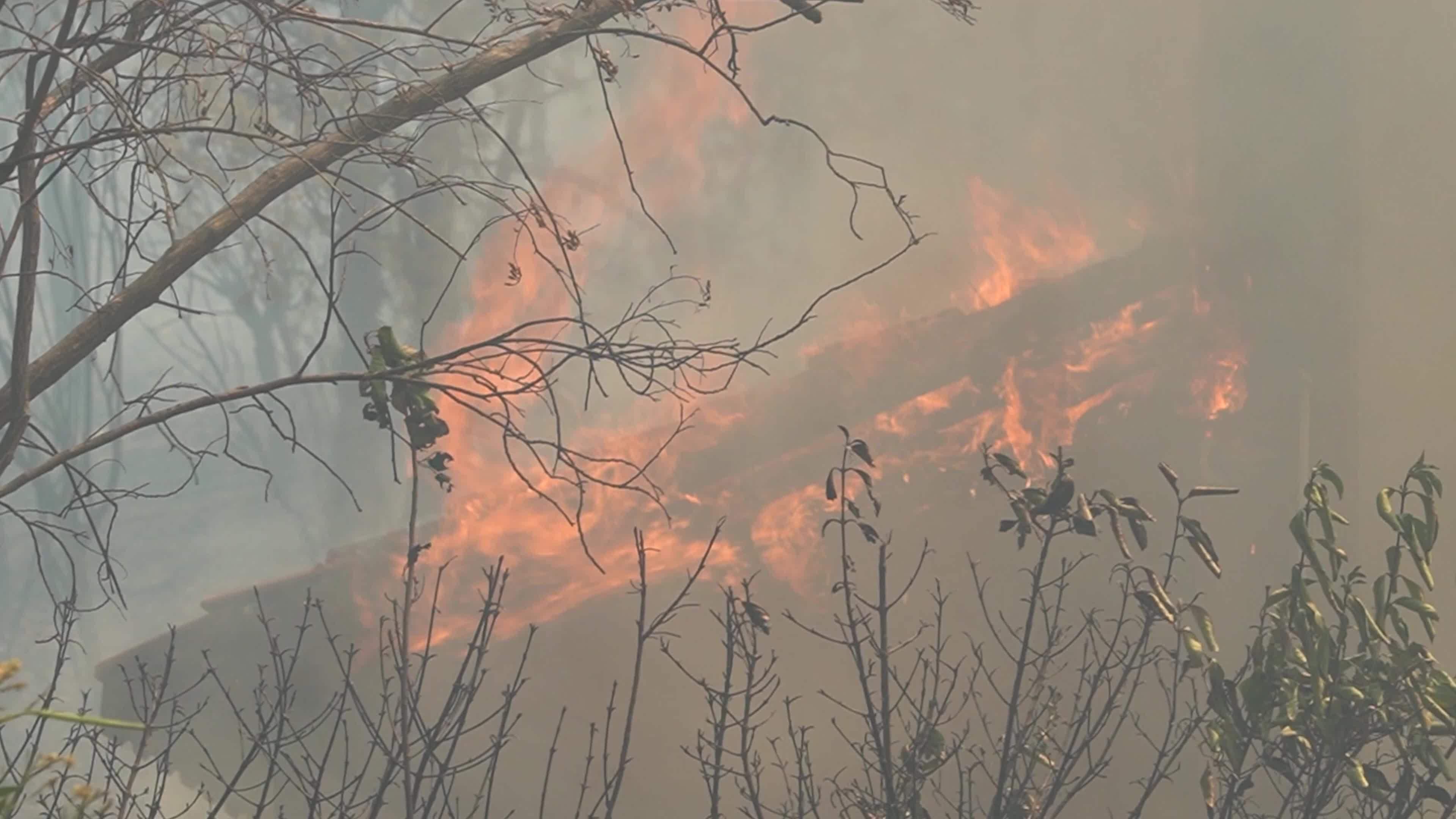 Wildfire has reached into the residential area, Bayrakli, Izmir, Turkey