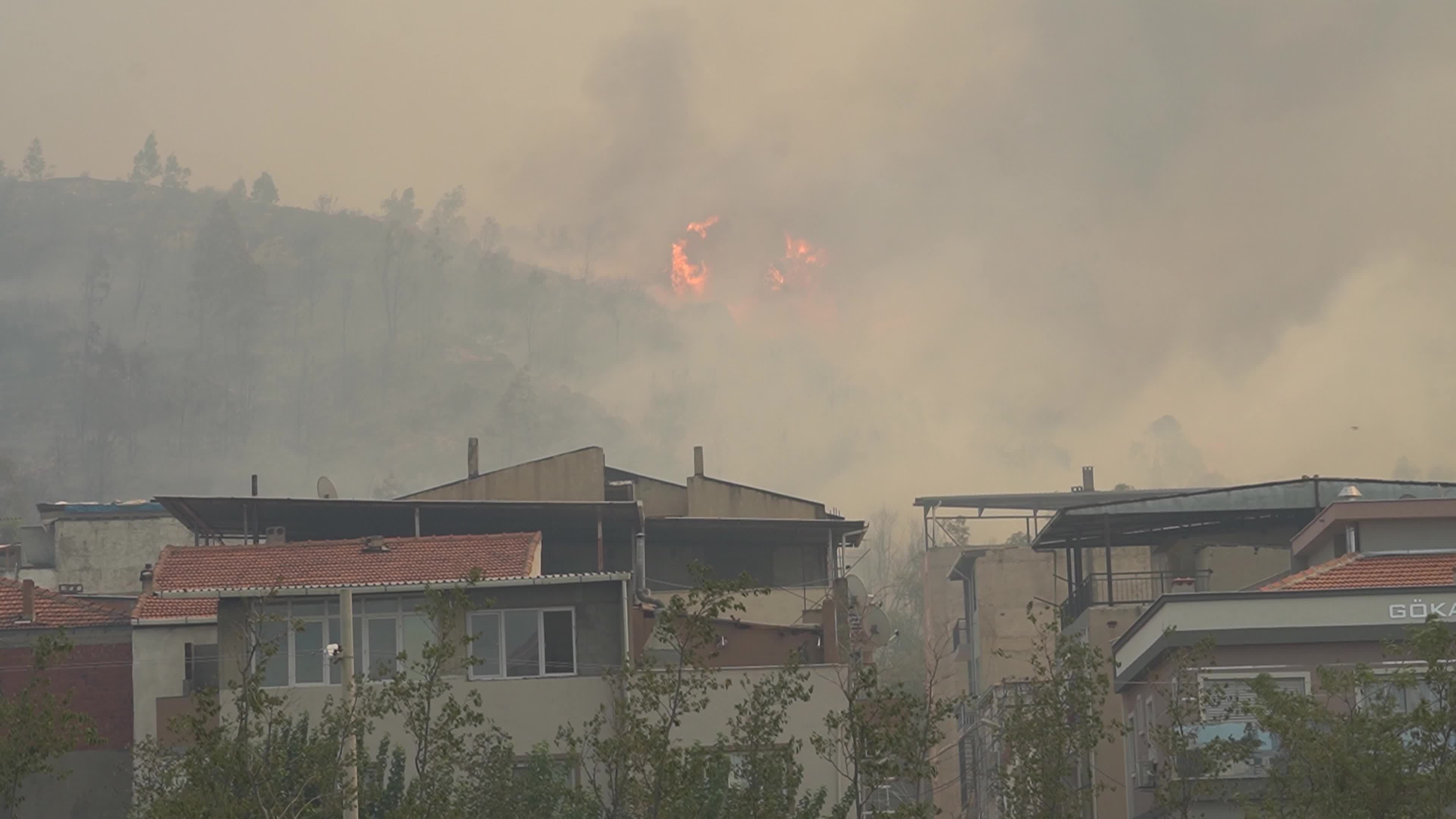 Wildfire has reached into the residential area, Bayrakli, Izmir, Turkey