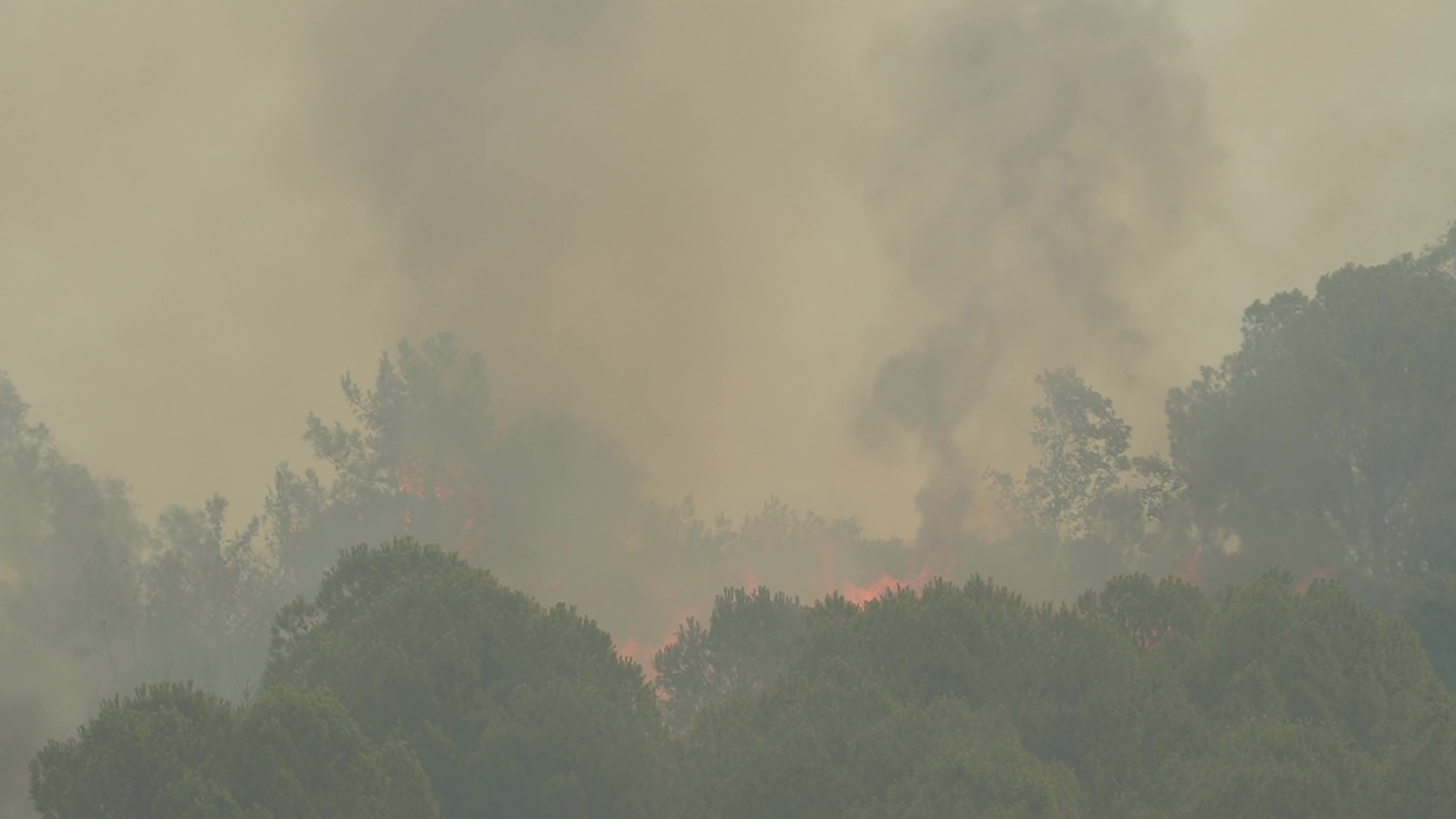 Wildfire has reached into the residential area, Bayrakli, Izmir, Turkey