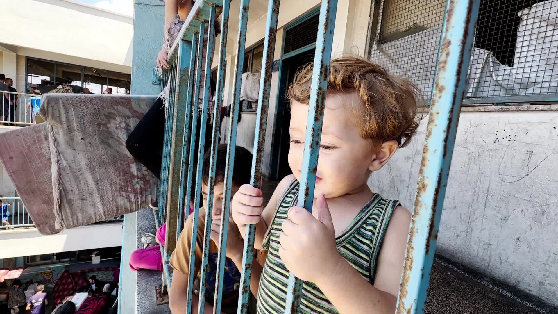 Palestinians Flee With Belongings in Deir el-Balah, Gaza, Amid Ongoing Israel-Hamas Conflict 