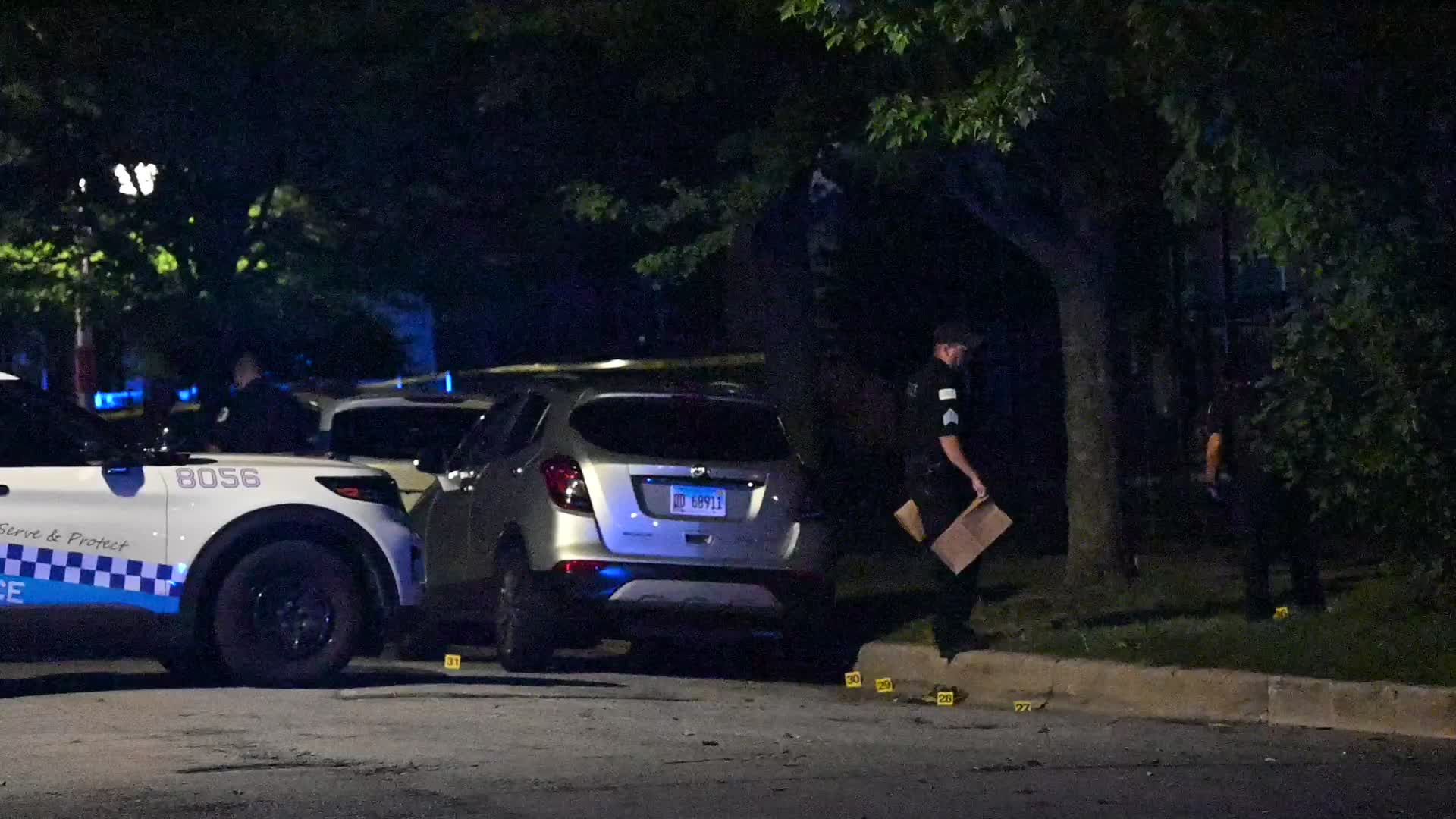 28-year-old Male Shot And Killed Execution Style In Chicago Illinois
