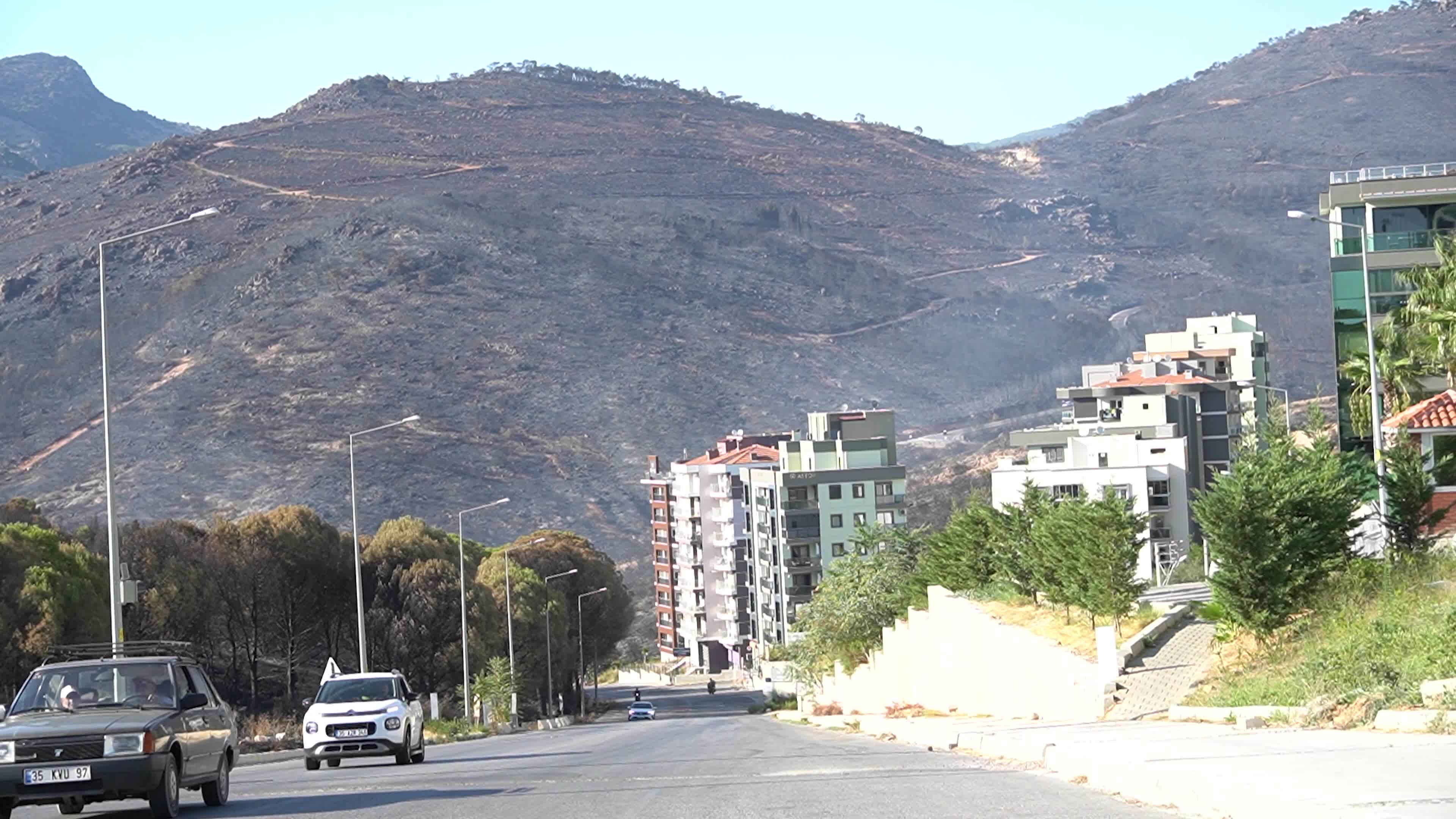 Aftermath of the Izmir Yamanlar Wildfire, Turkey