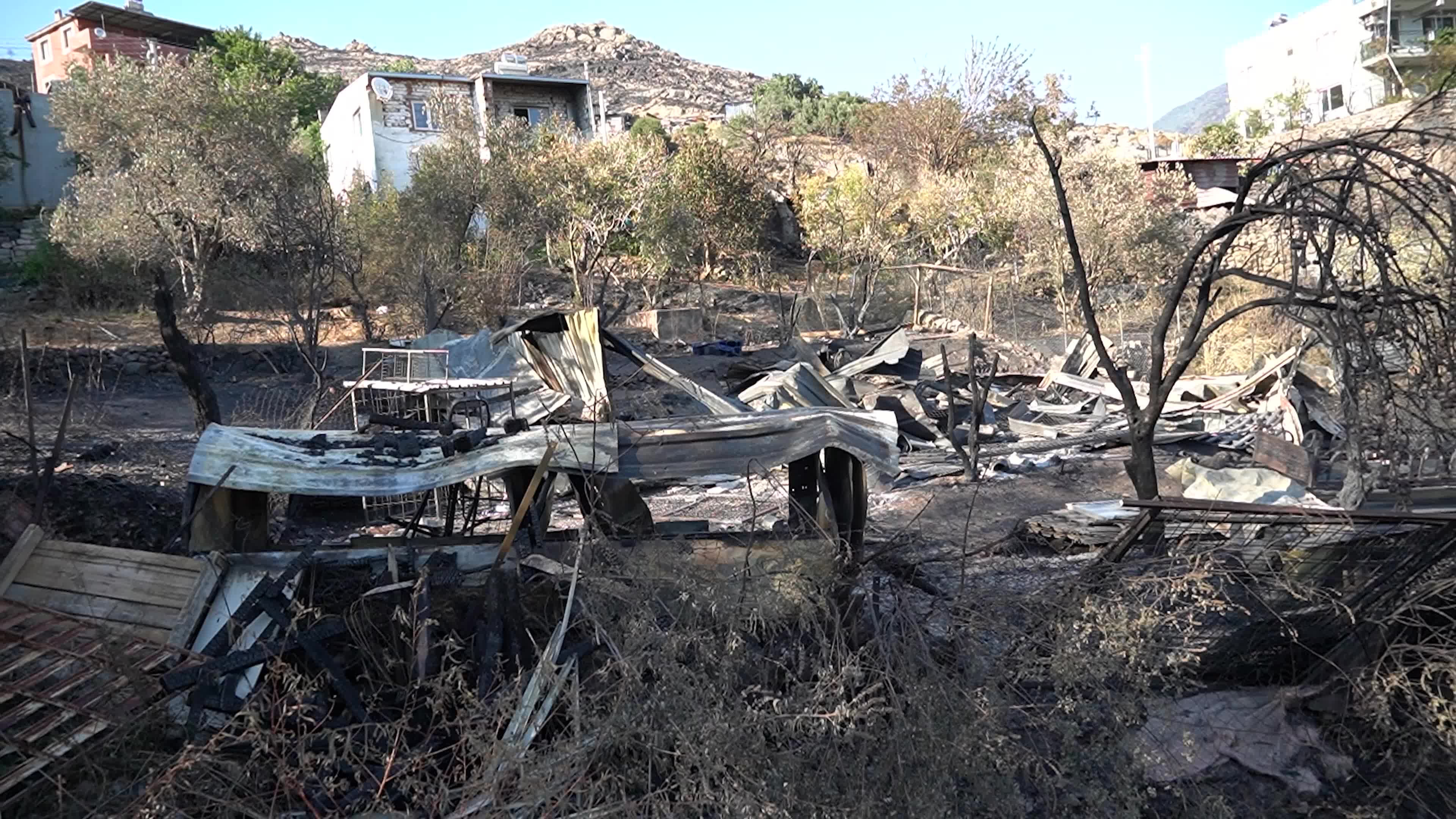 Aftermath of the Izmir Yamanlar Wildfire, Turkey