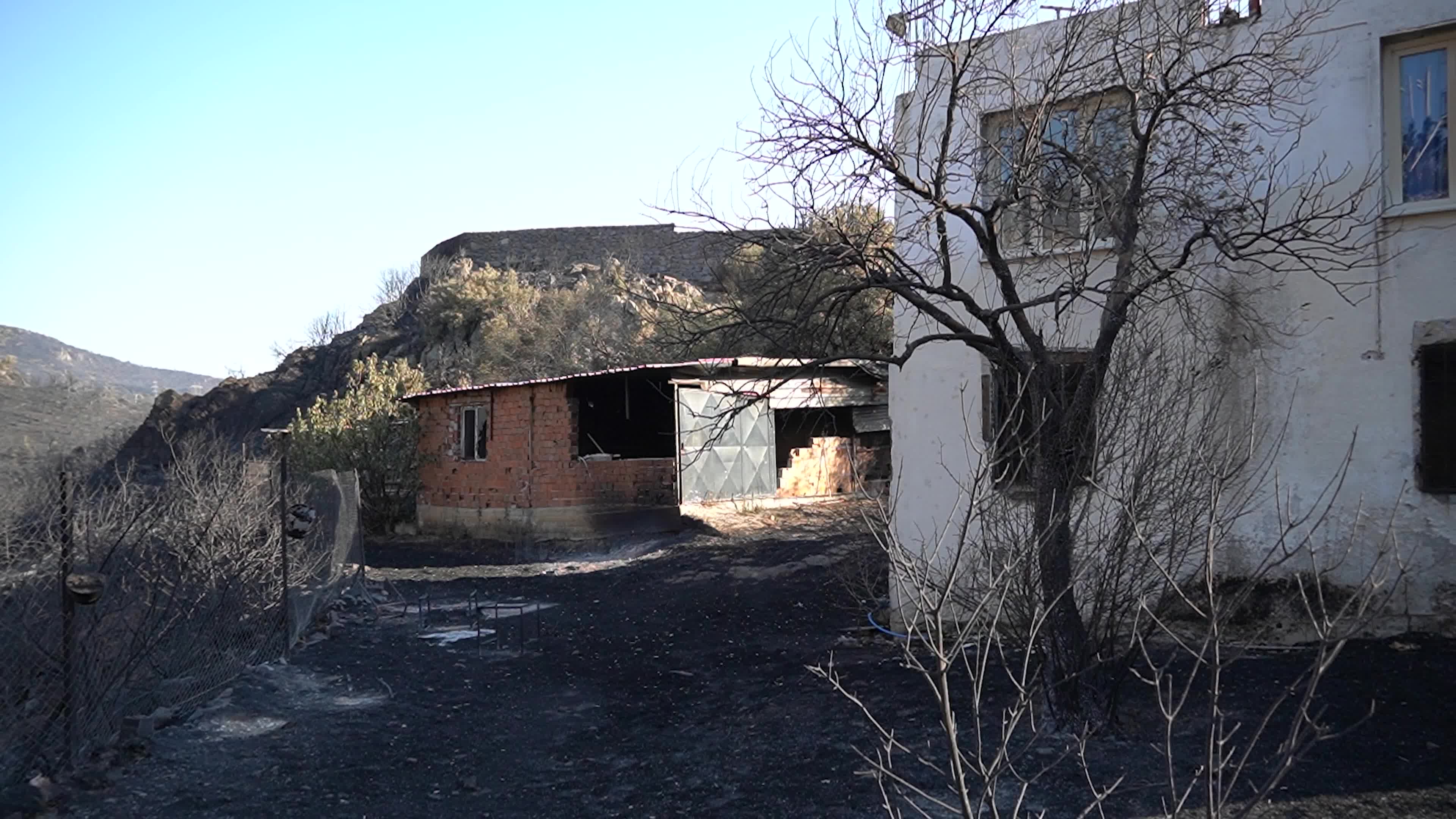 Aftermath of the Izmir Yamanlar Wildfire, Turkey