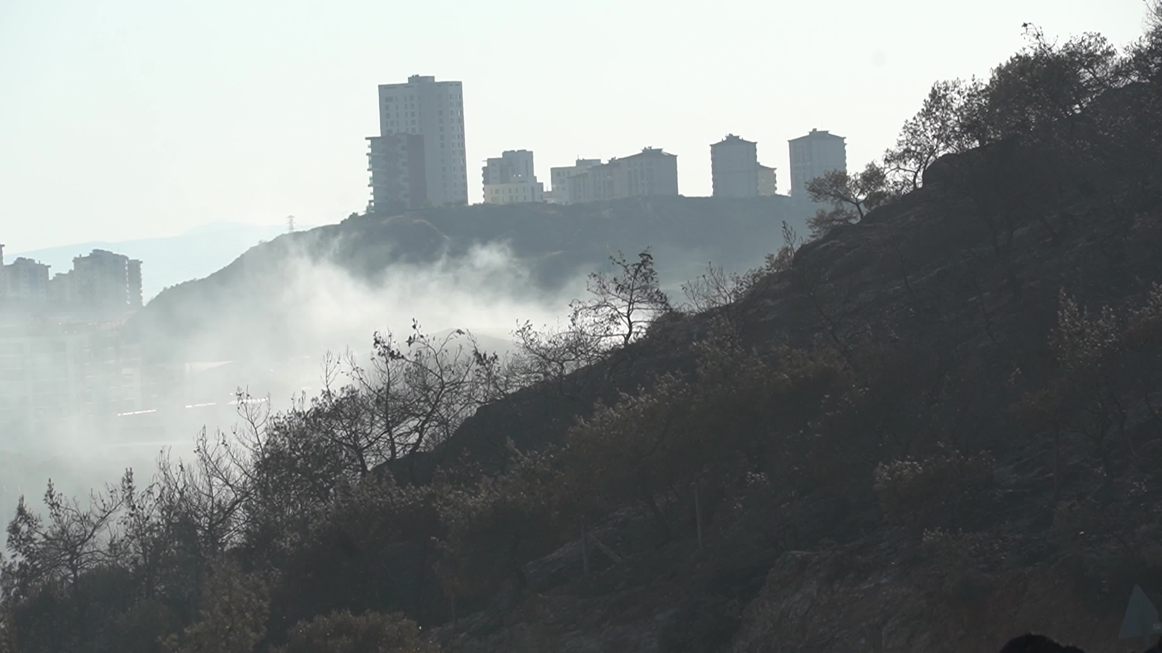 Aftermath of the Izmir Yamanlar Wildfire, Turkey