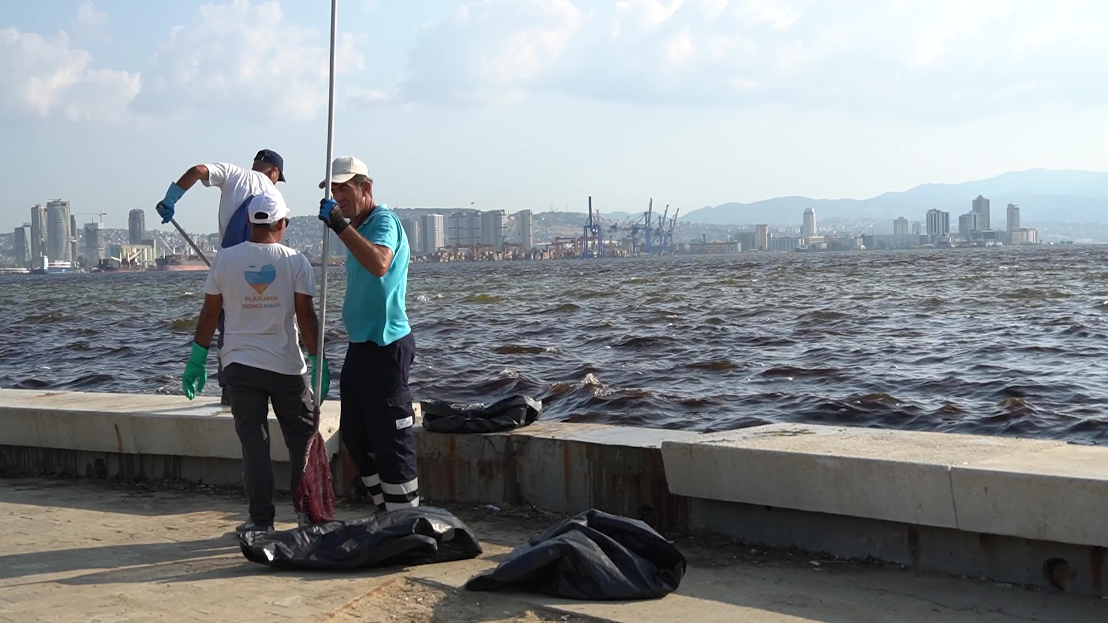 Mass fish deaths in the gulf in Izmir, Turkey