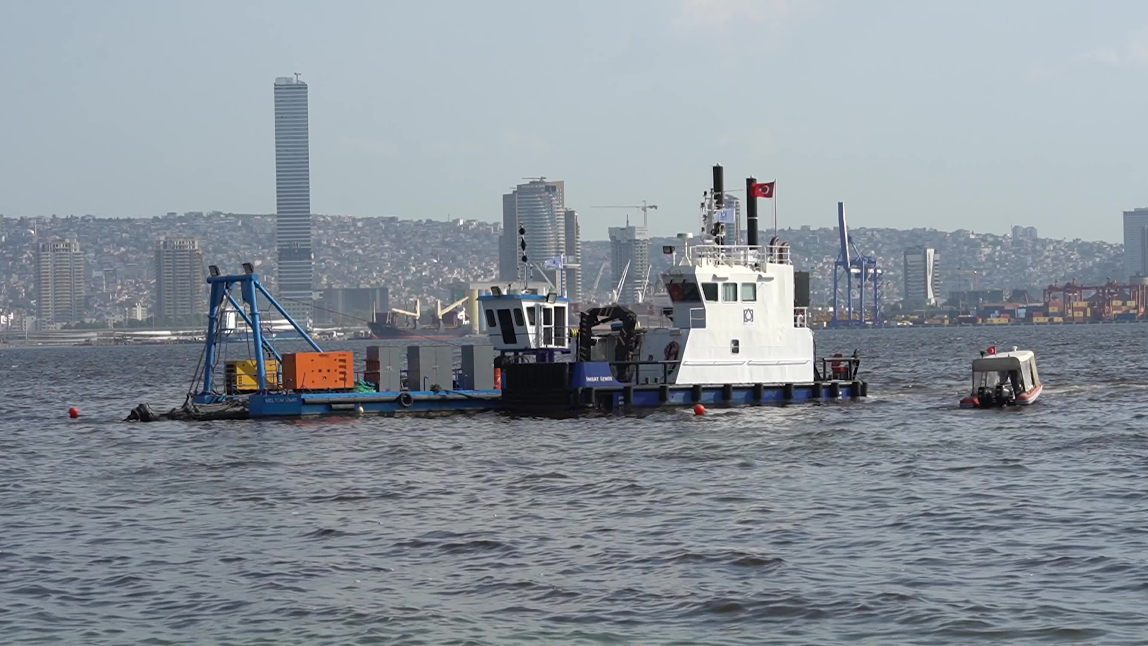 Mass fish deaths in the gulf in Izmir, Turkey