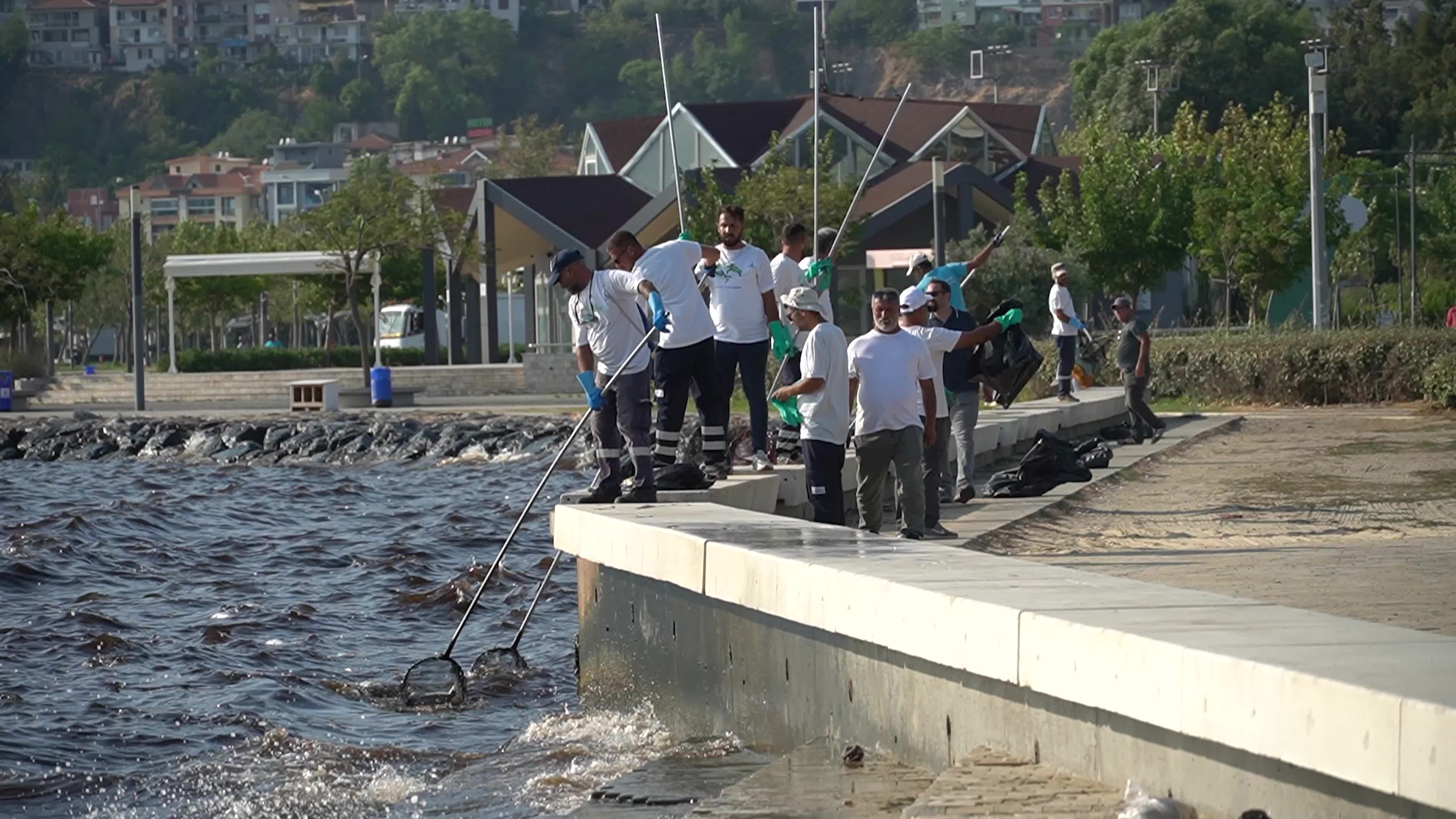 Mass fish deaths in the gulf in Izmir, Turkey