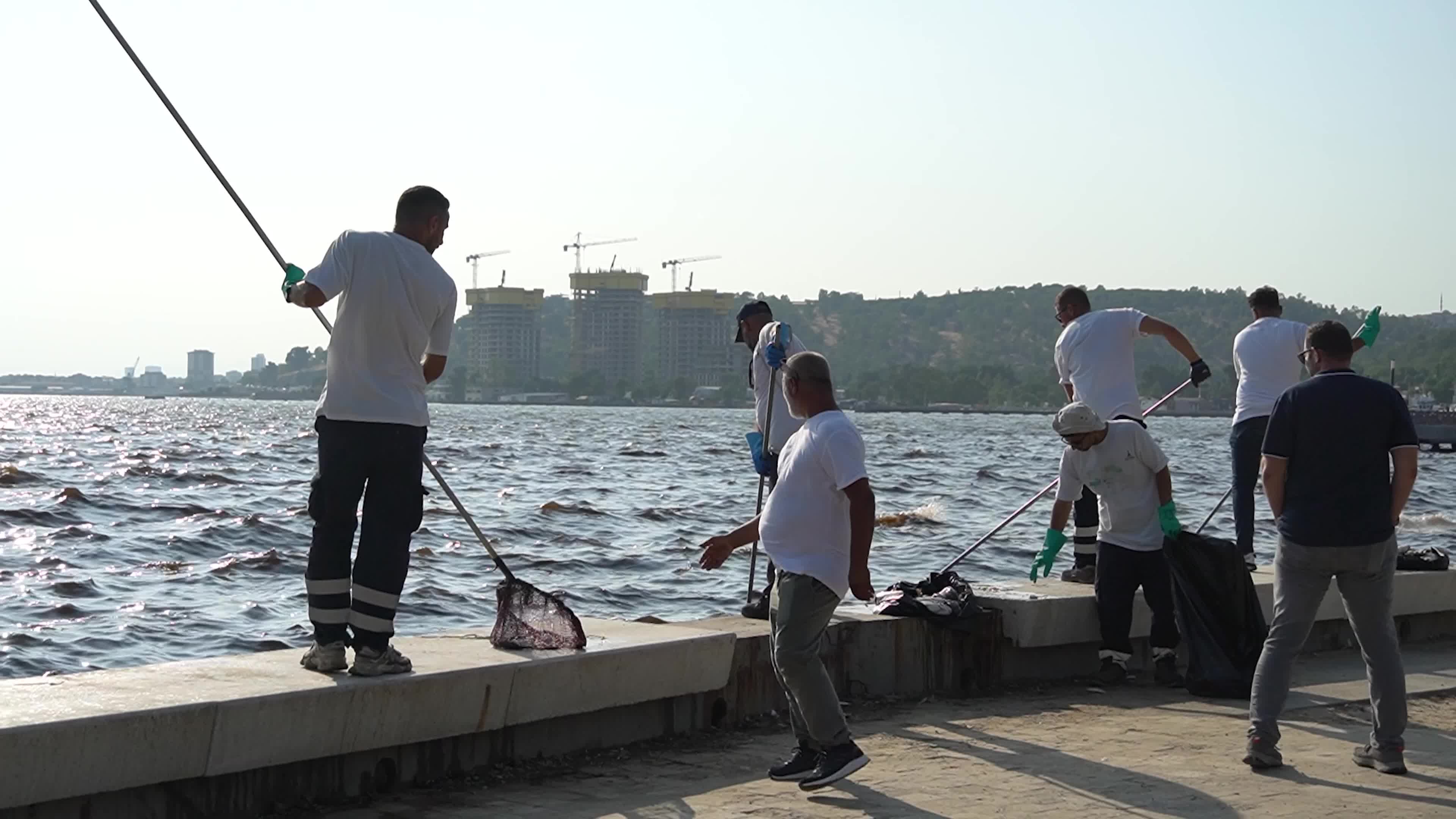 Mass fish deaths in the gulf in Izmir, Turkey