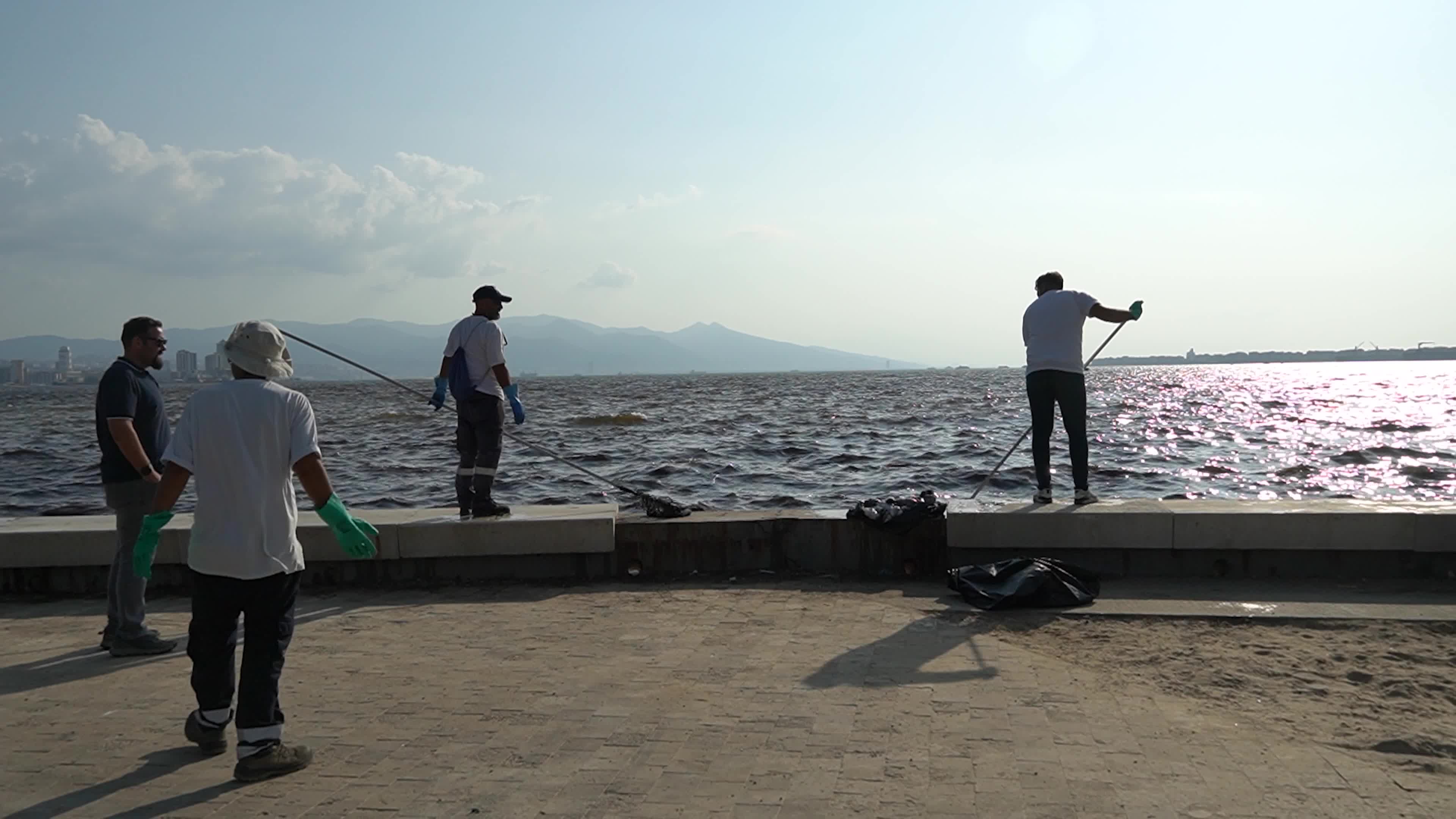 Mass fish deaths in the gulf in Izmir, Turkey