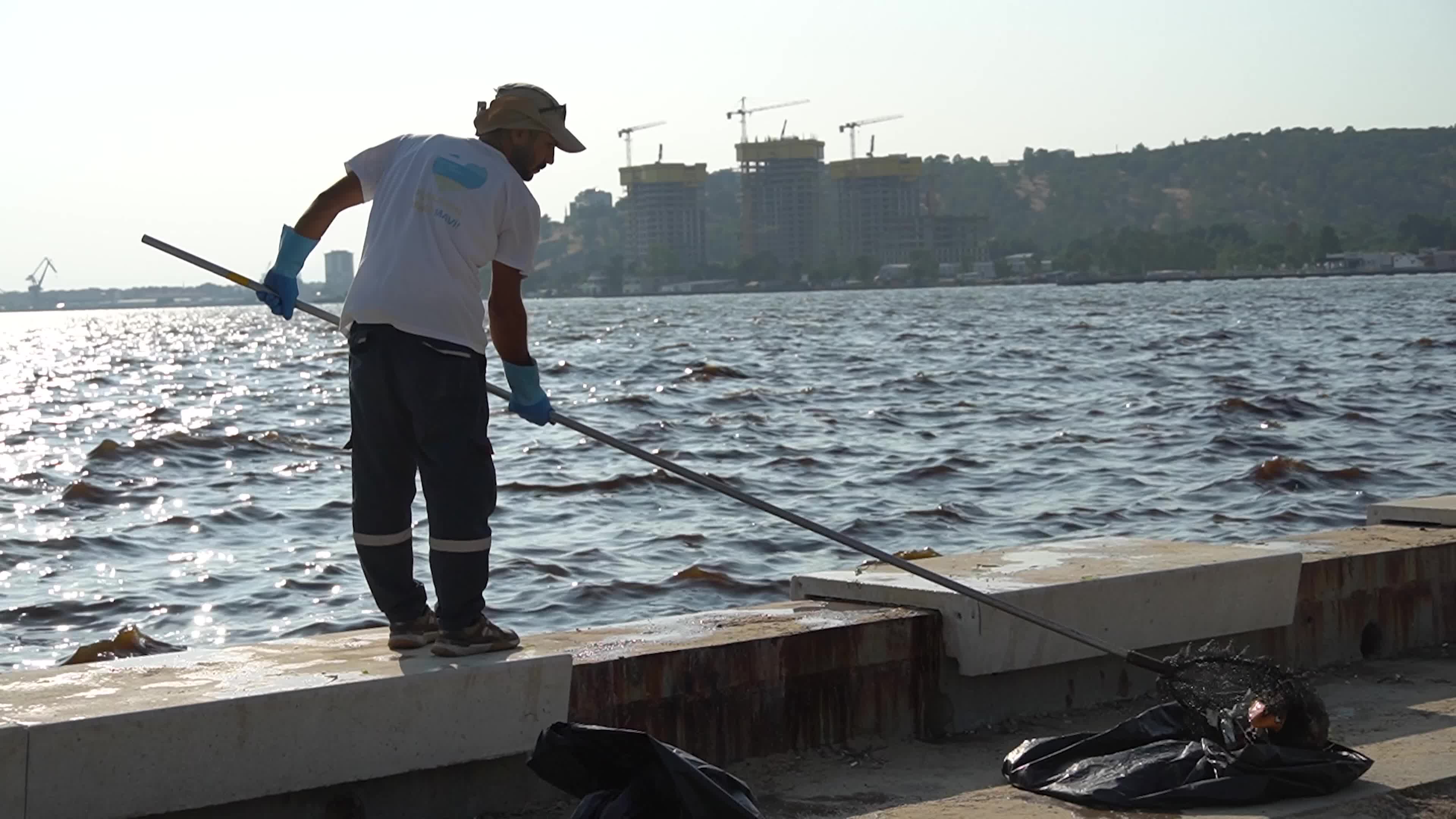 Mass fish deaths in the gulf in Izmir, Turkey