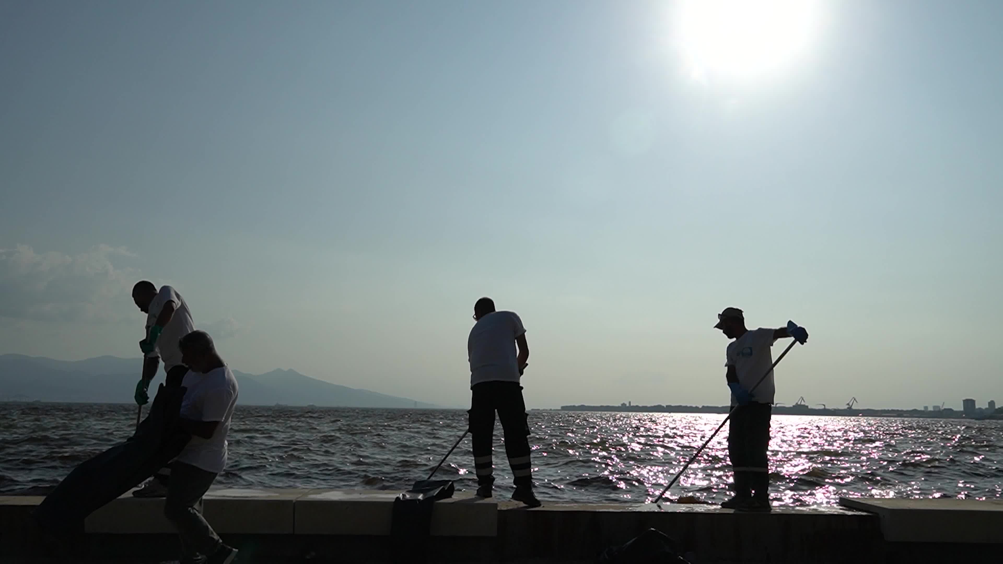 Mass fish deaths in the gulf in Izmir, Turkey