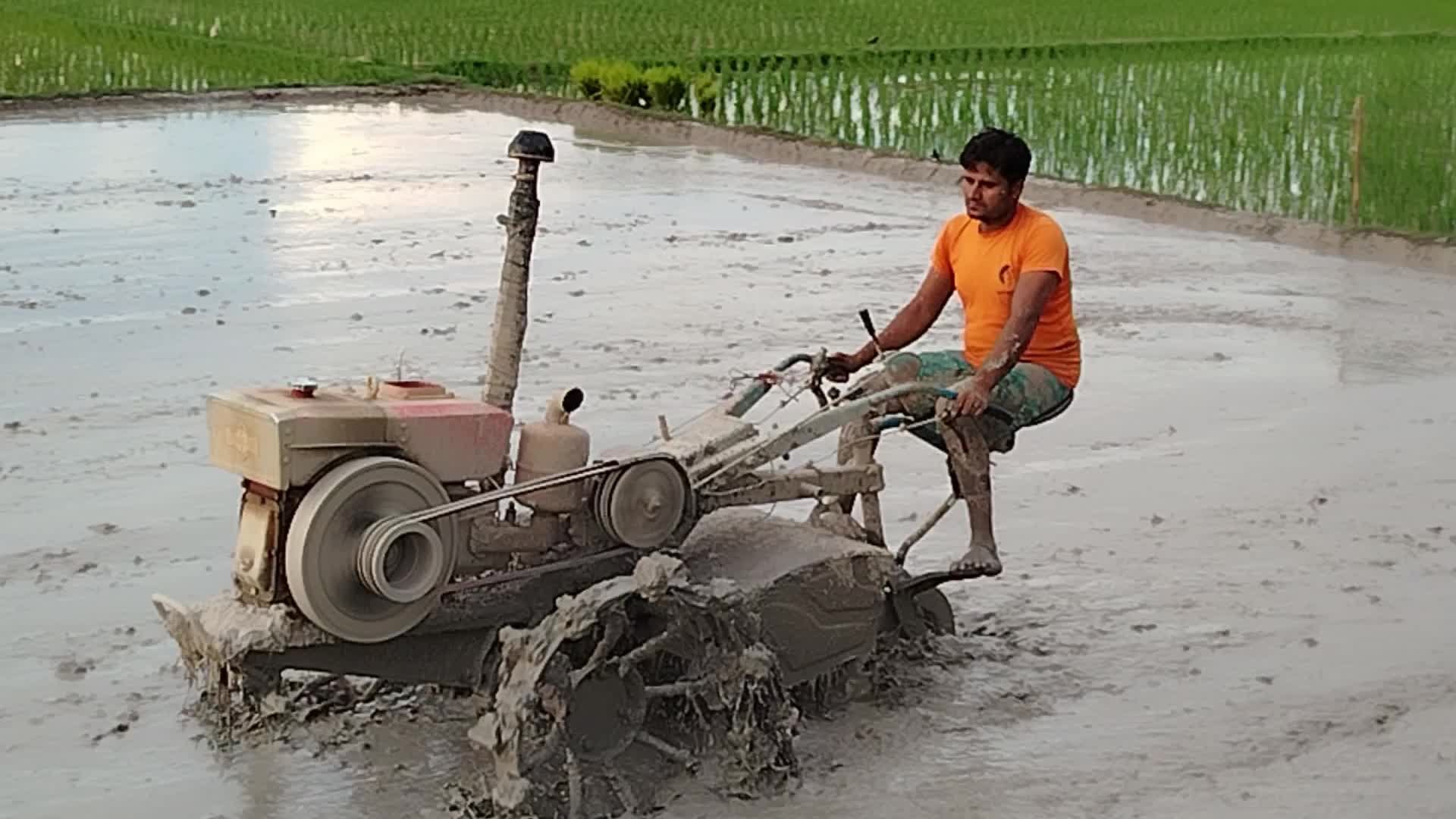 Agriculture in Bangladesh 